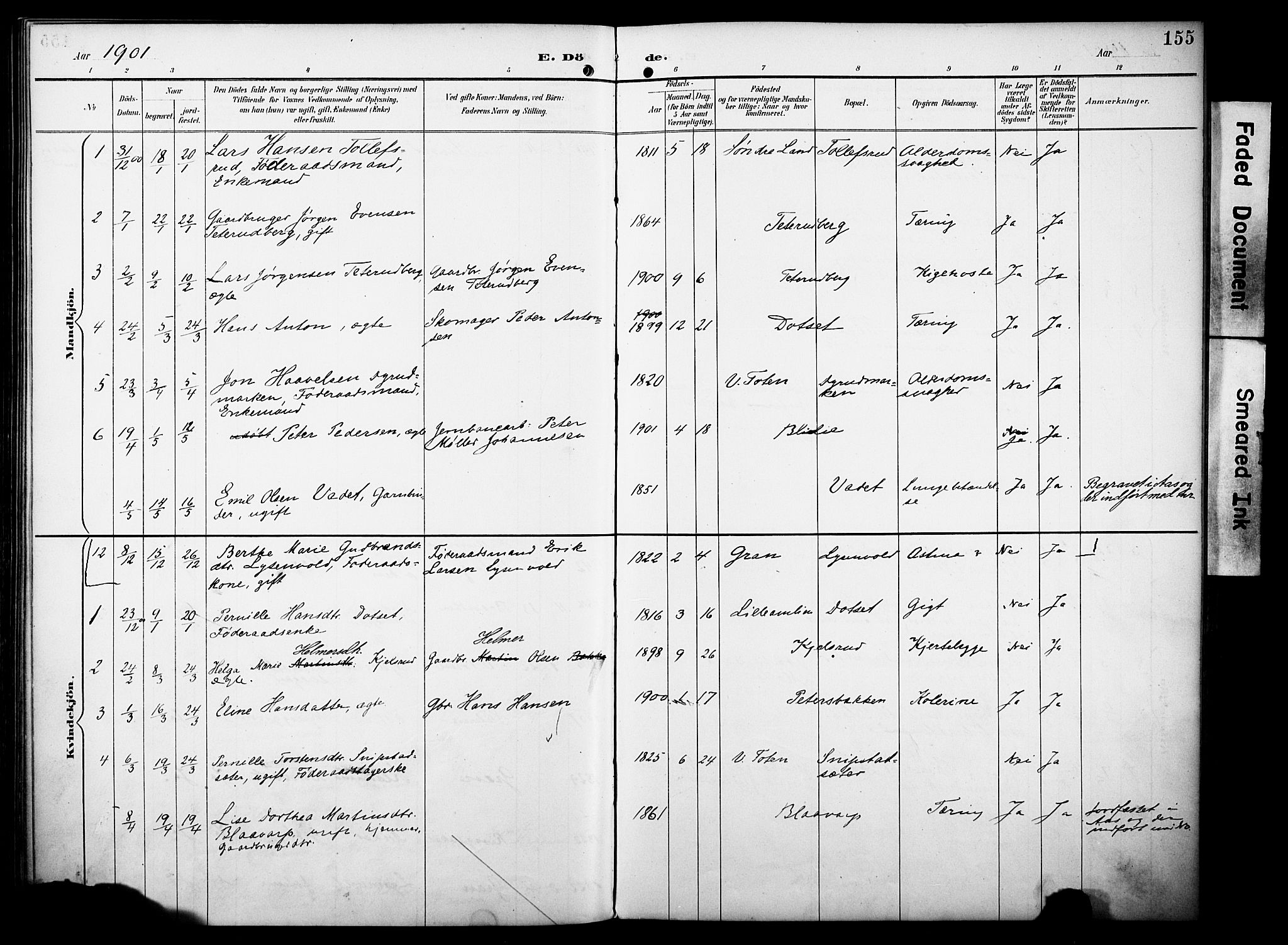 Vestre Toten prestekontor, SAH/PREST-108/H/Ha/Haa/L0012: Parish register (official) no. 12, 1890-1906, p. 155