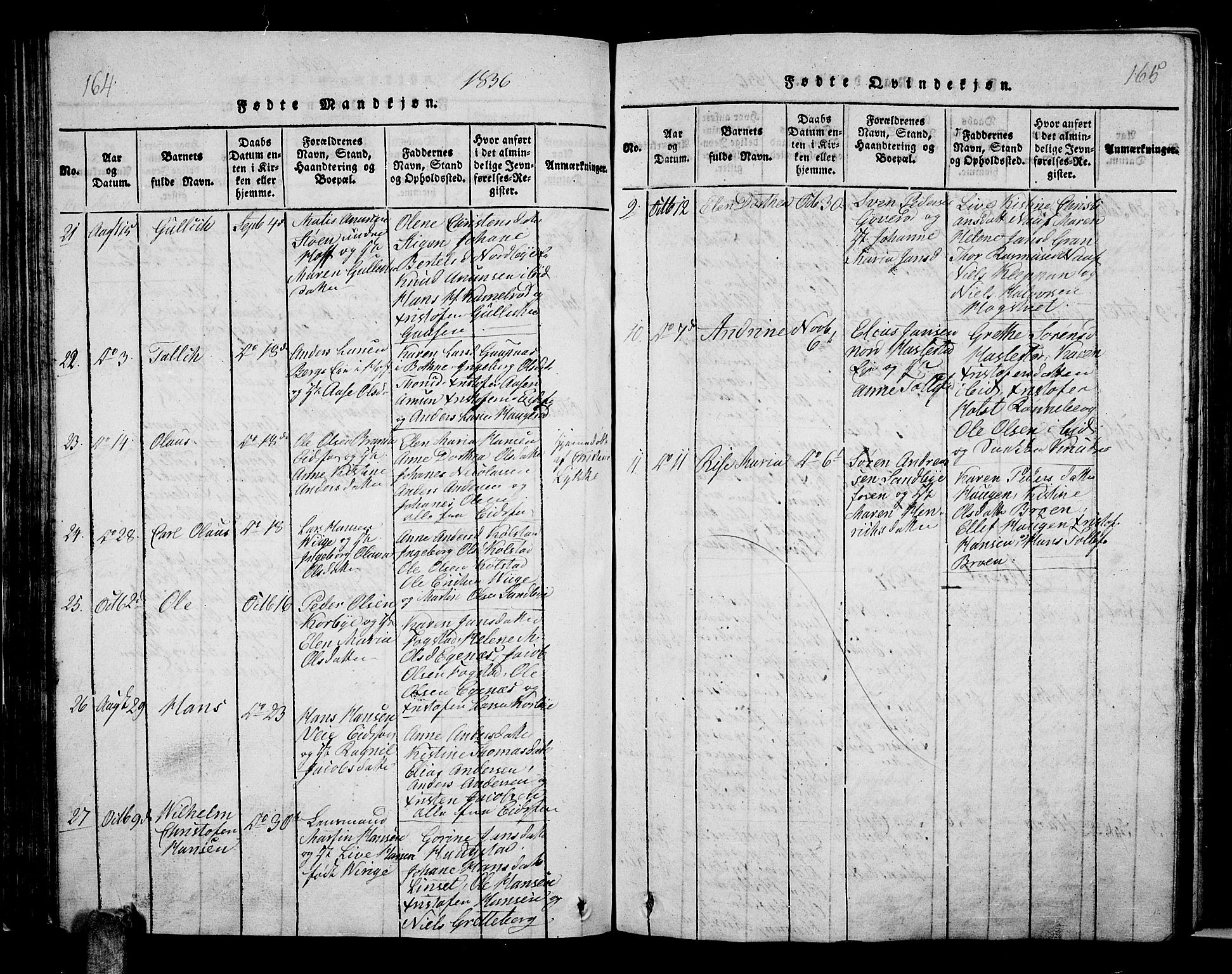 Hof kirkebøker, AV/SAKO-A-64/G/Ga/L0001: Parish register (copy) no. I 1, 1814-1844, p. 164-165