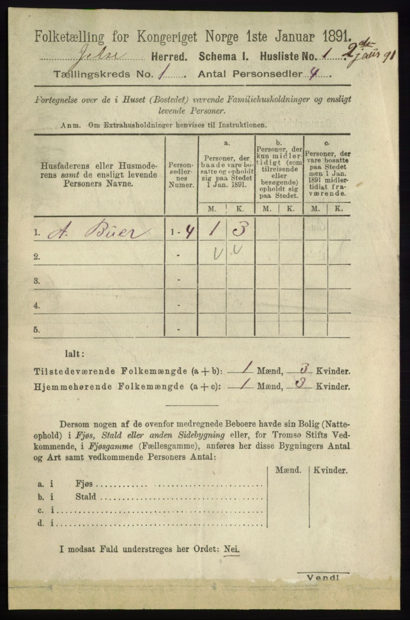 RA, 1891 census for 1138 Jelsa, 1891, p. 30