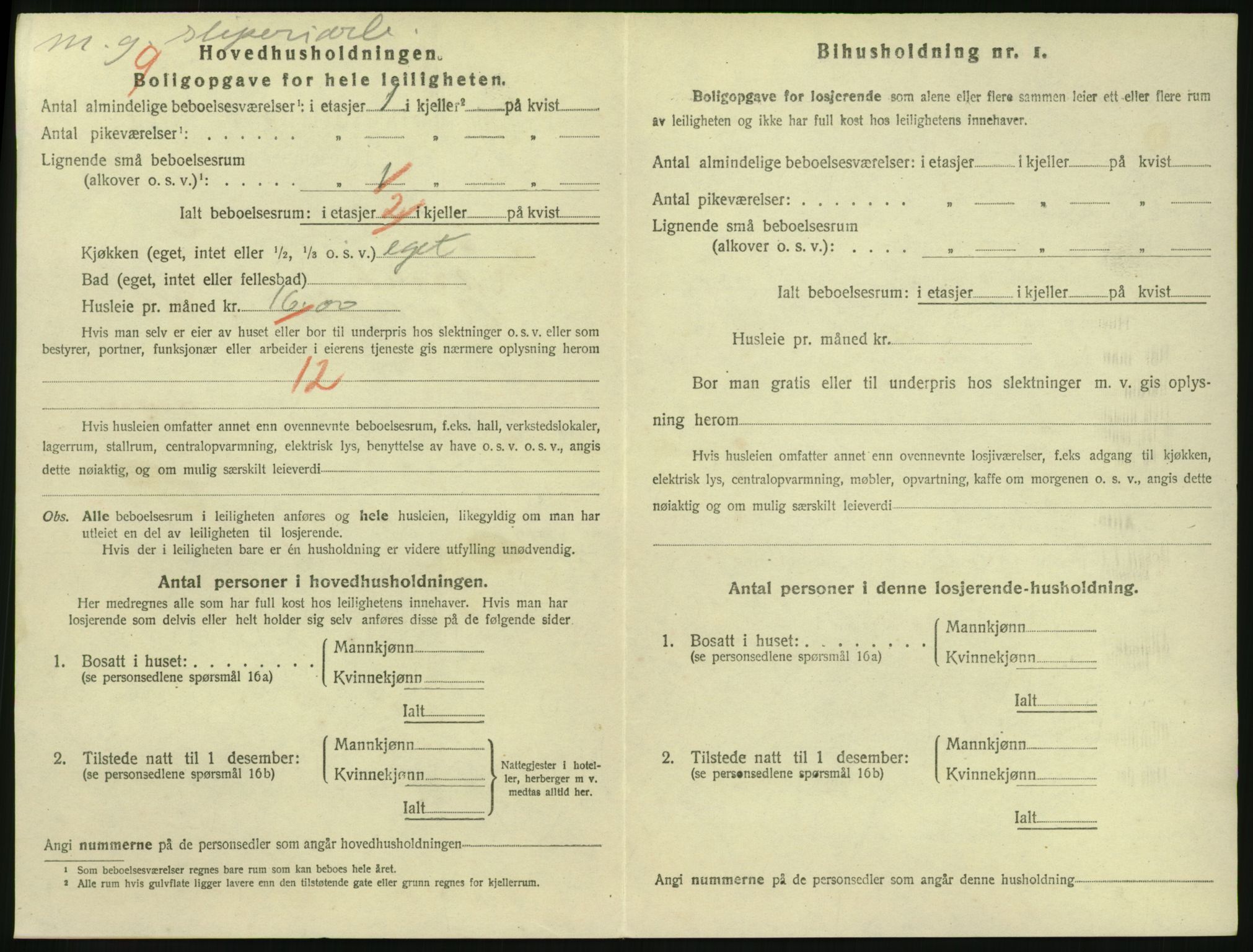 SAKO, 1920 census for Larvik, 1920, p. 3199