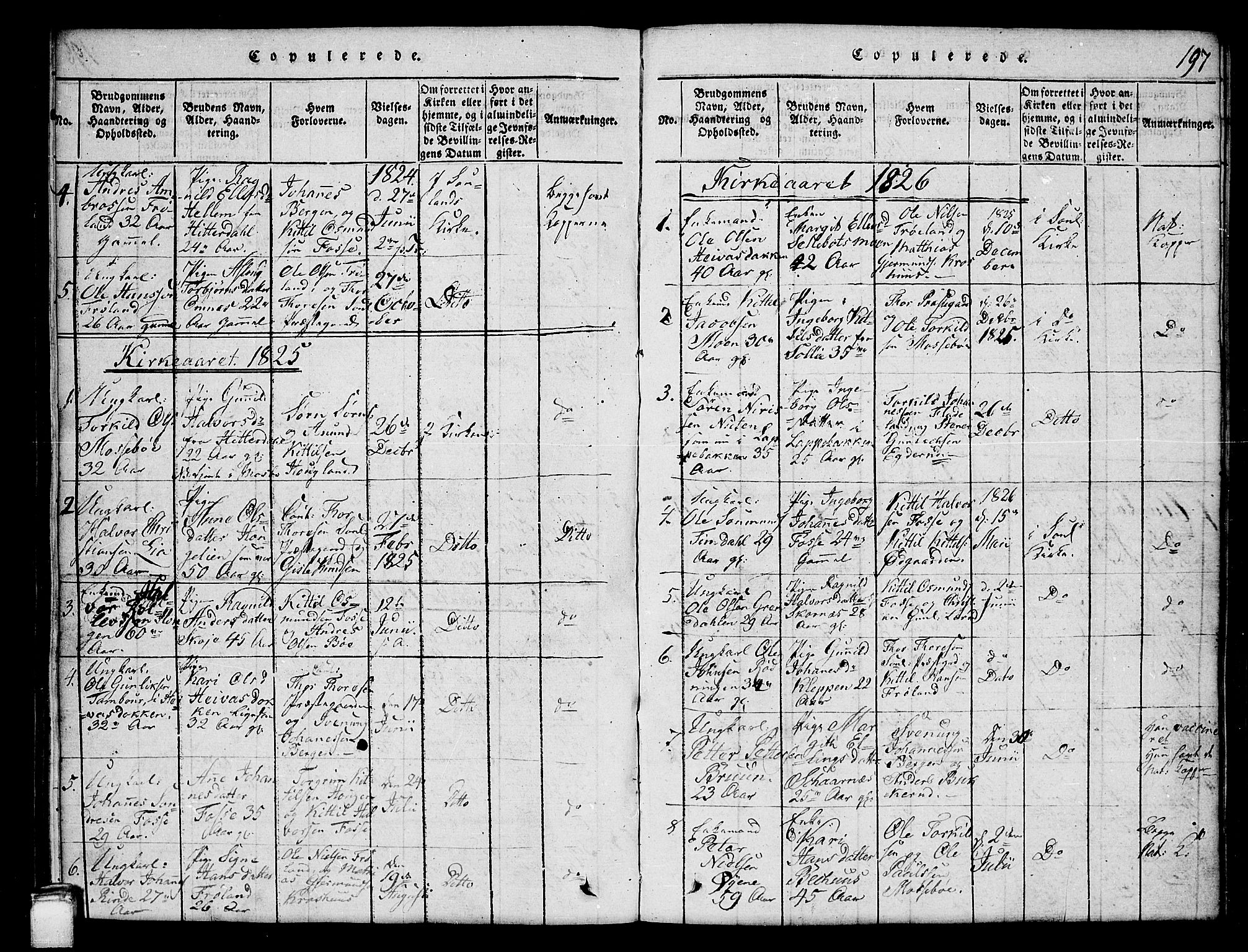 Hjartdal kirkebøker, AV/SAKO-A-270/G/Gb/L0001: Parish register (copy) no. II 1, 1815-1842, p. 197