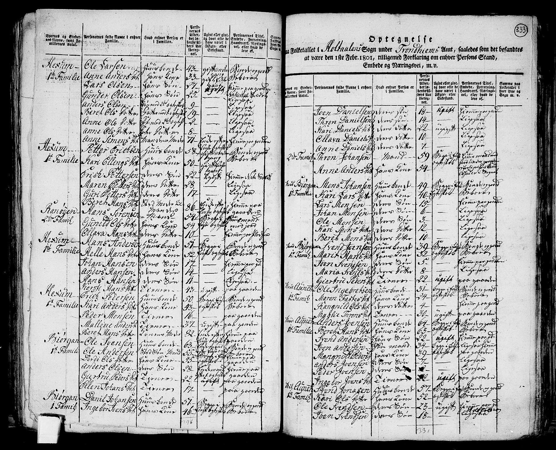 RA, 1801 census for 1645P Haltdalen, 1801, p. 332b-333a