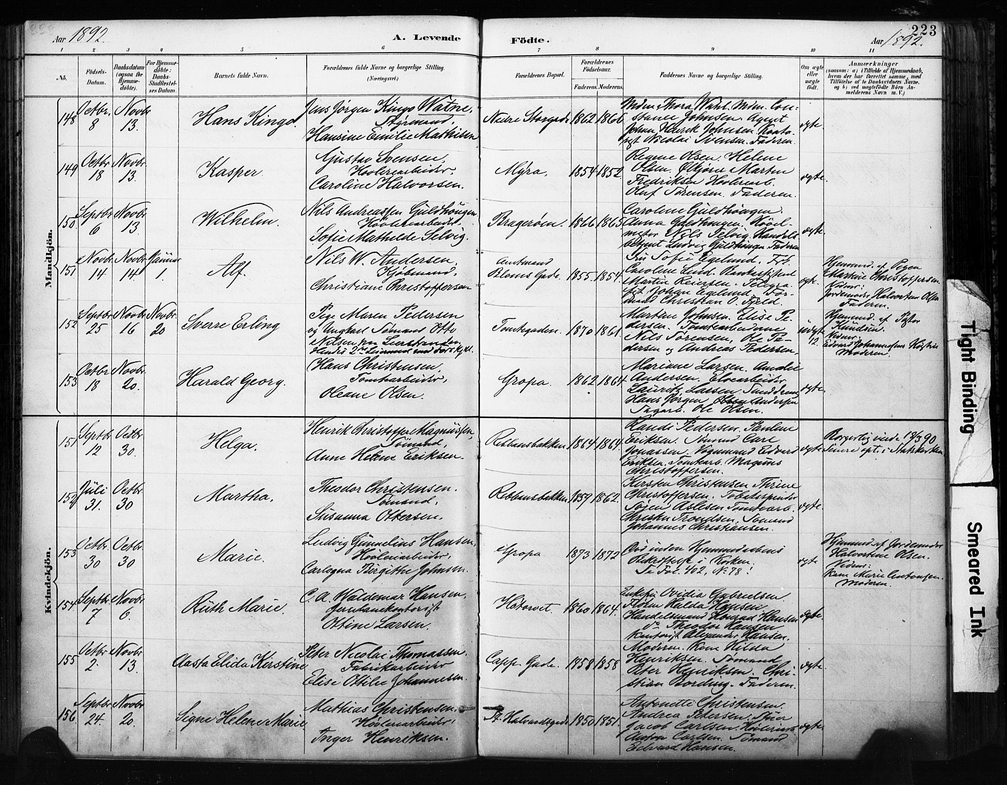 Bragernes kirkebøker, AV/SAKO-A-6/F/Fb/L0007: Parish register (official) no. II 7, 1885-1893, p. 223