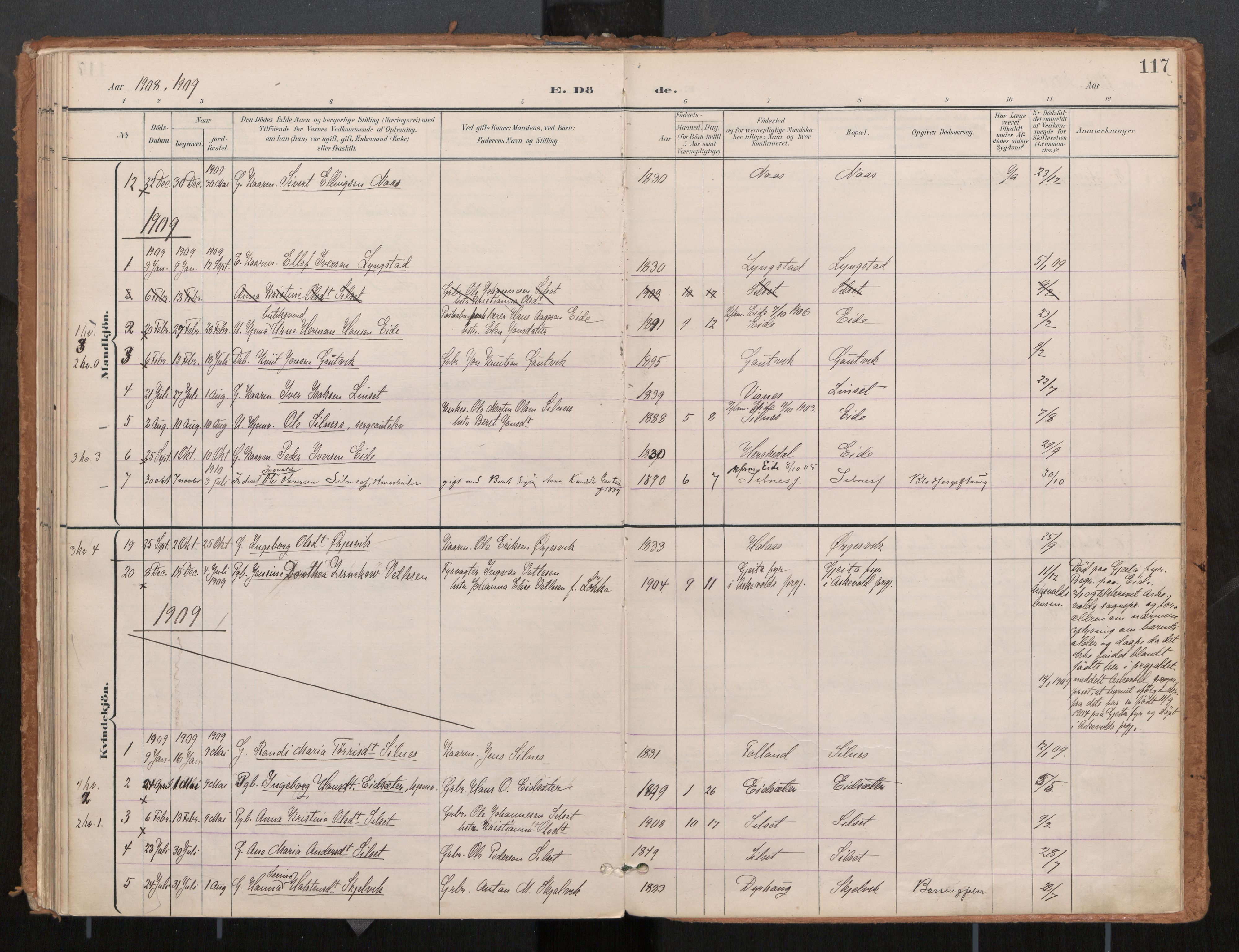 Ministerialprotokoller, klokkerbøker og fødselsregistre - Møre og Romsdal, SAT/A-1454/571/L0836a: Parish register (official) no. 571A02, 1898-1910, p. 117