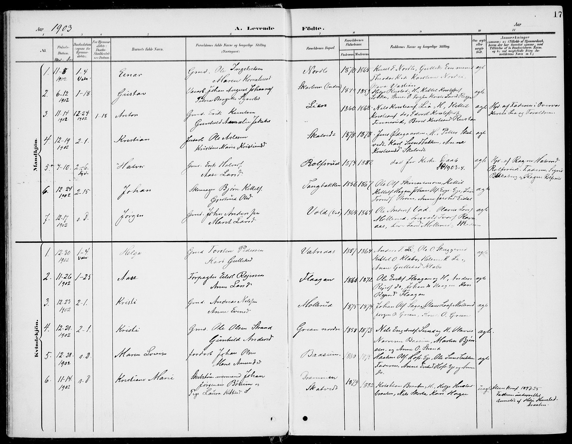 Sigdal kirkebøker, AV/SAKO-A-245/F/Fb/L0002: Parish register (official) no. II 2, 1901-1914, p. 17