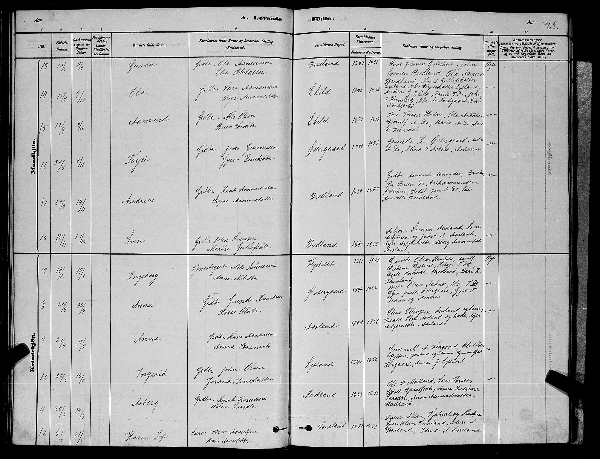 Åseral sokneprestkontor, SAK/1111-0051/F/Fb/L0002: Parish register (copy) no. B 2, 1878-1899, p. 63