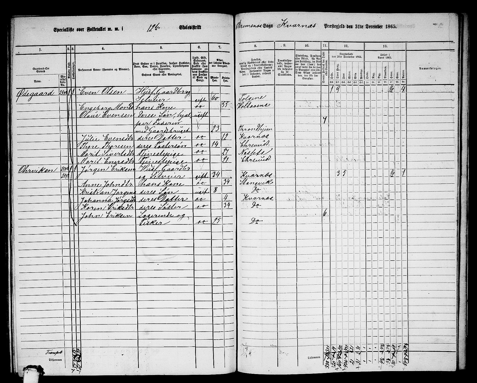 RA, 1865 census for Kvernes, 1865, p. 229