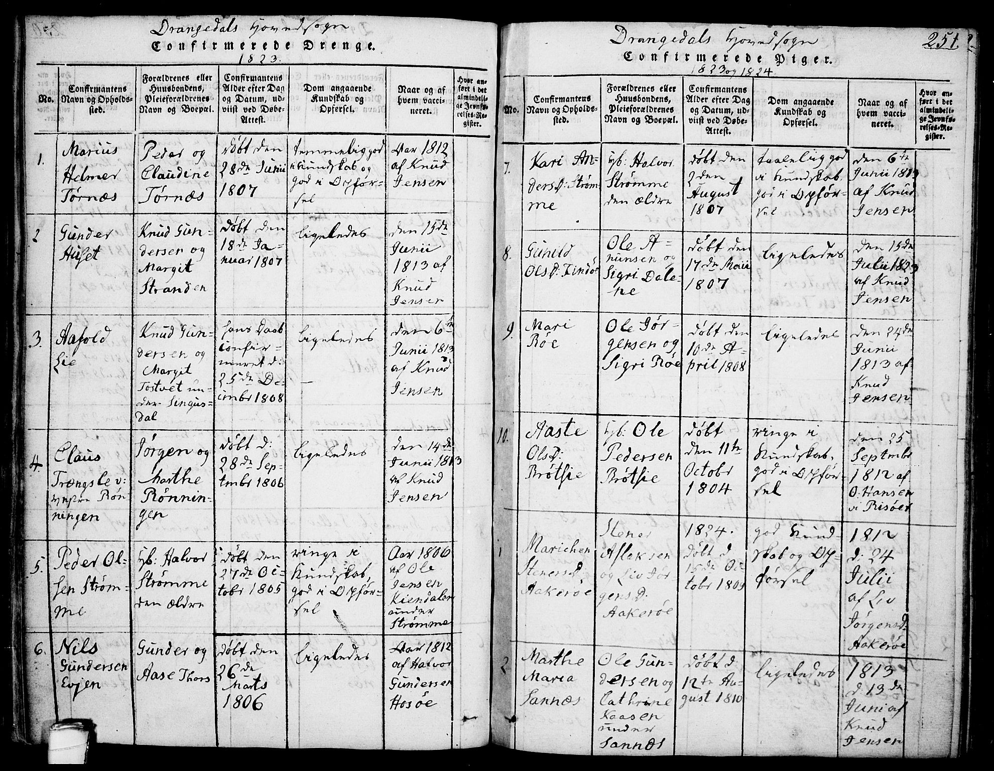 Drangedal kirkebøker, AV/SAKO-A-258/F/Fa/L0005: Parish register (official) no. 5 /1, 1814-1831, p. 251