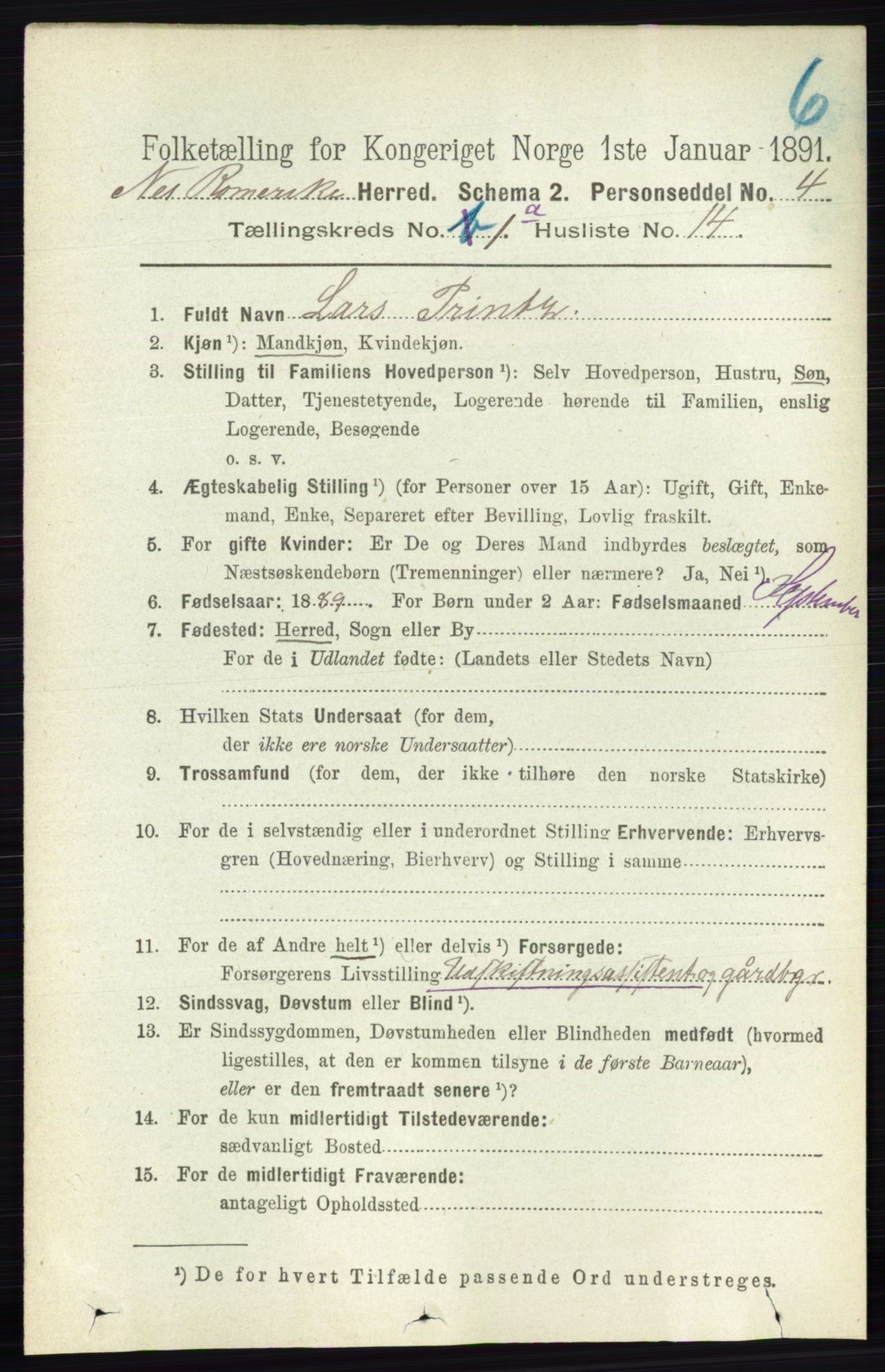 RA, 1891 census for 0236 Nes, 1891, p. 203