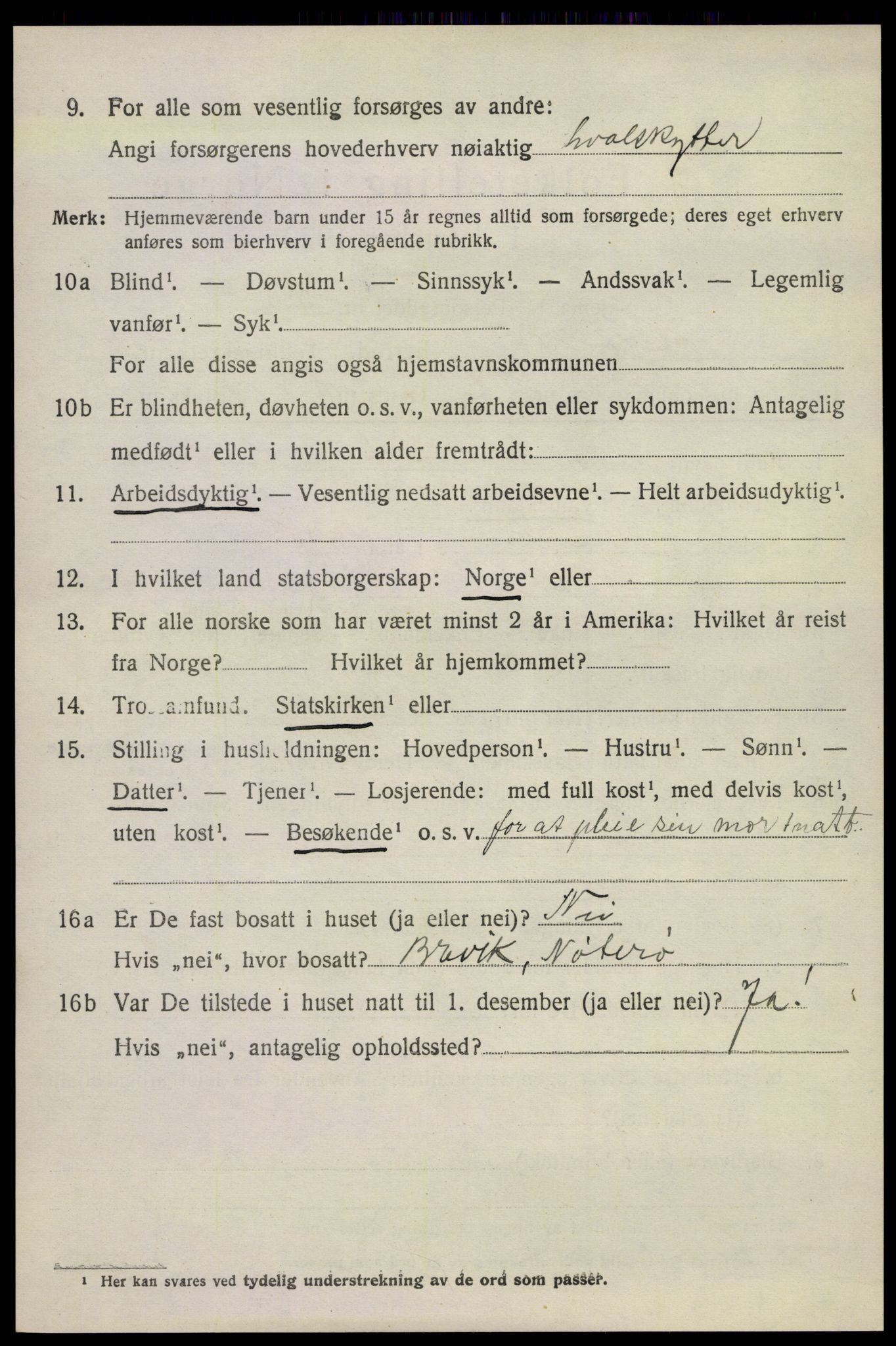 SAKO, 1920 census for Nøtterøy, 1920, p. 10692