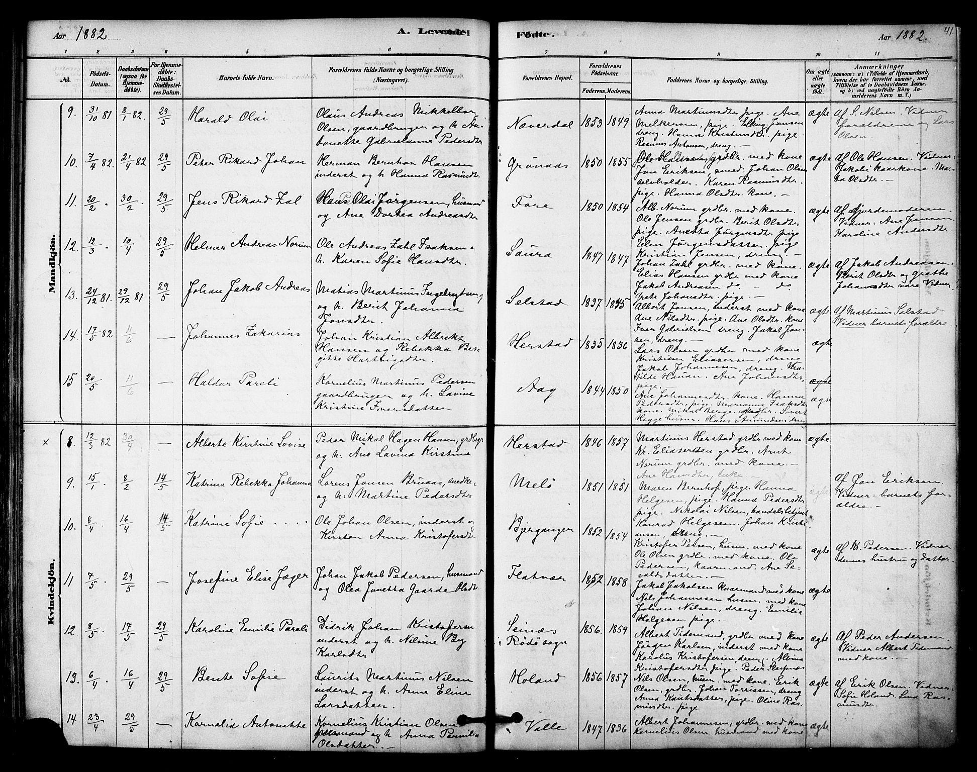Ministerialprotokoller, klokkerbøker og fødselsregistre - Nordland, SAT/A-1459/843/L0626: Parish register (official) no. 843A01, 1878-1907, p. 41