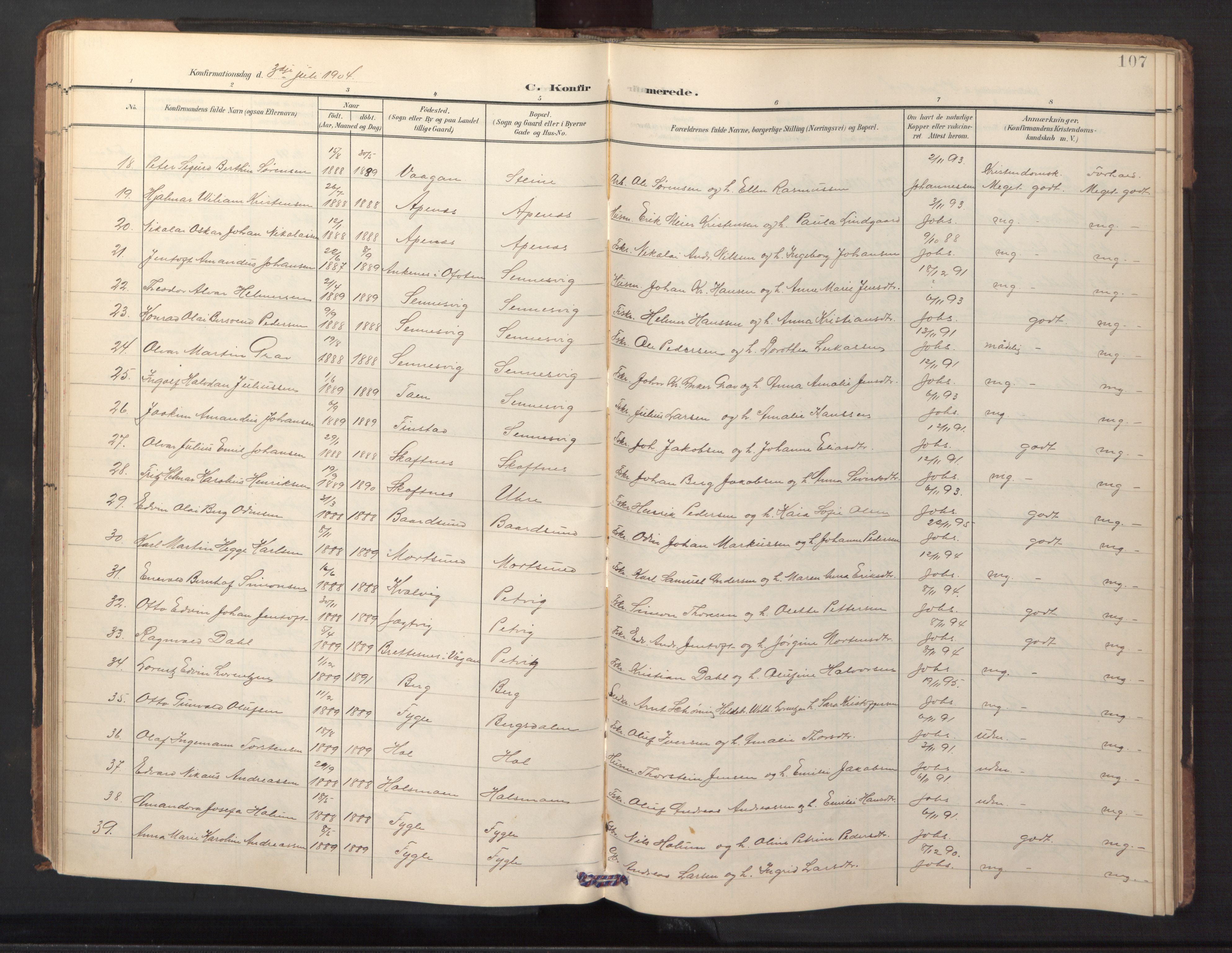 Ministerialprotokoller, klokkerbøker og fødselsregistre - Nordland, AV/SAT-A-1459/882/L1185: Parish register (copy) no. 882C03, 1898-1910, p. 107