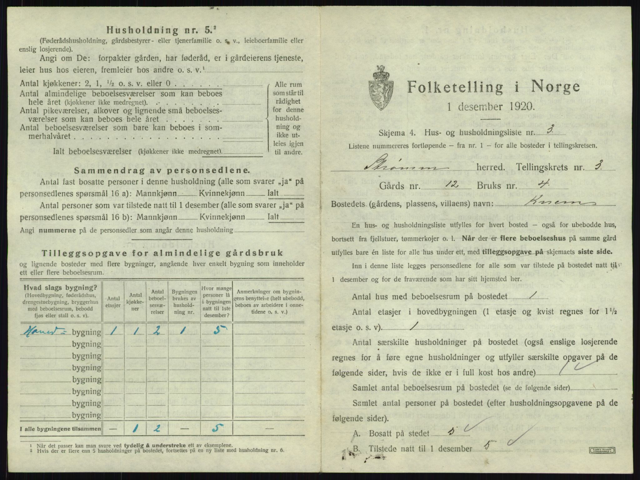 SAKO, 1920 census for Strømm, 1920, p. 234