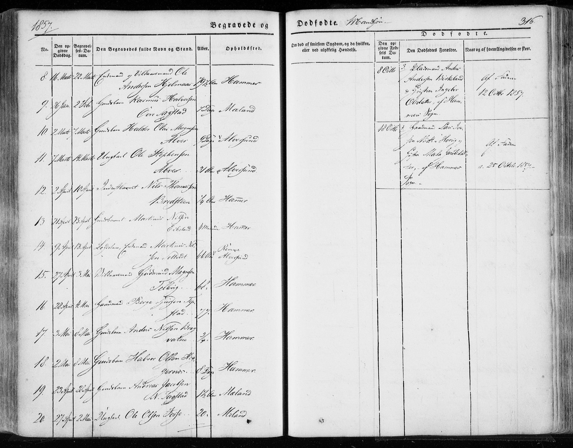 Hamre sokneprestembete, AV/SAB-A-75501/H/Ha/Haa/Haaa/L0013: Parish register (official) no. A 13, 1846-1857, p. 316