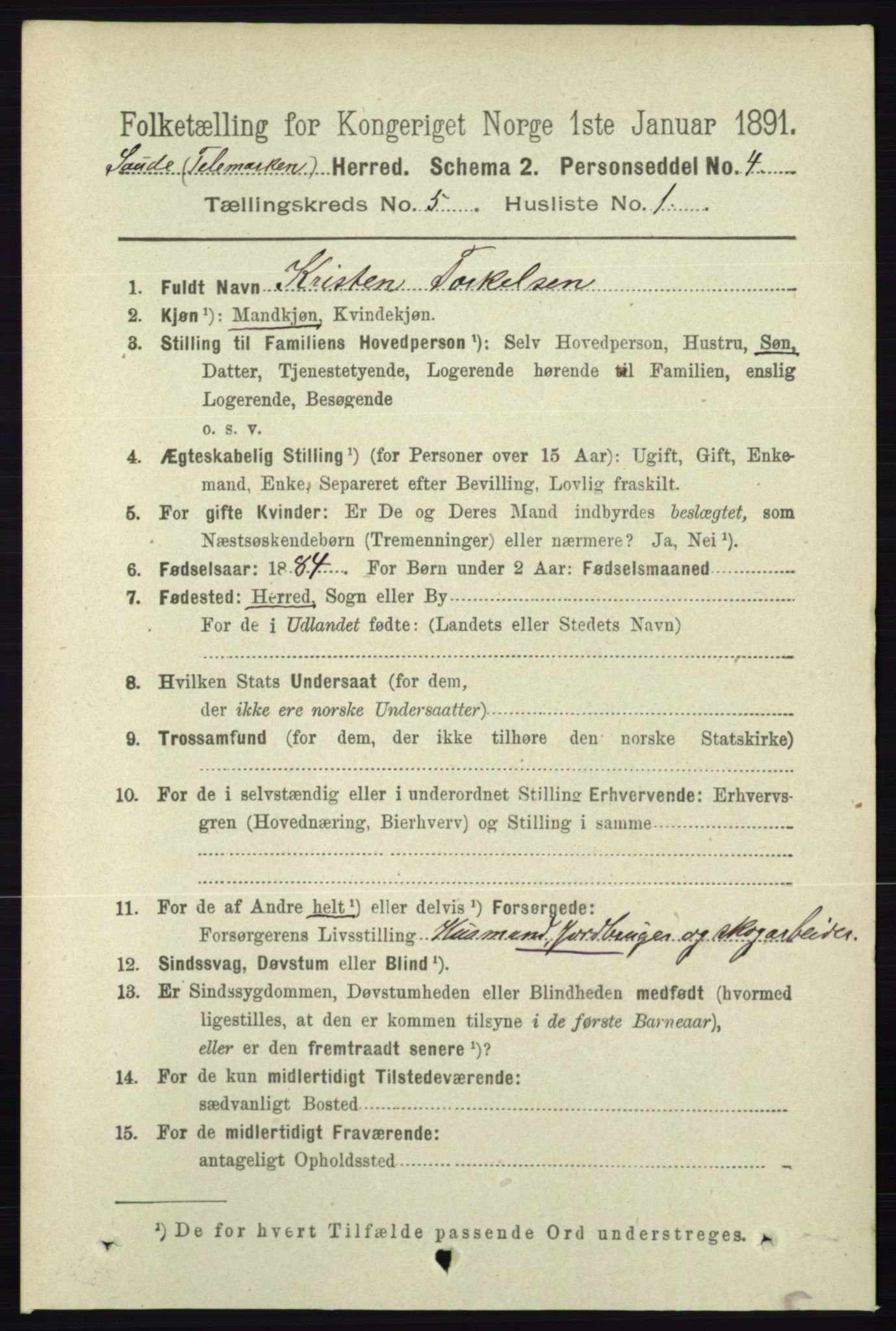 RA, 1891 census for 0822 Sauherad, 1891, p. 1428