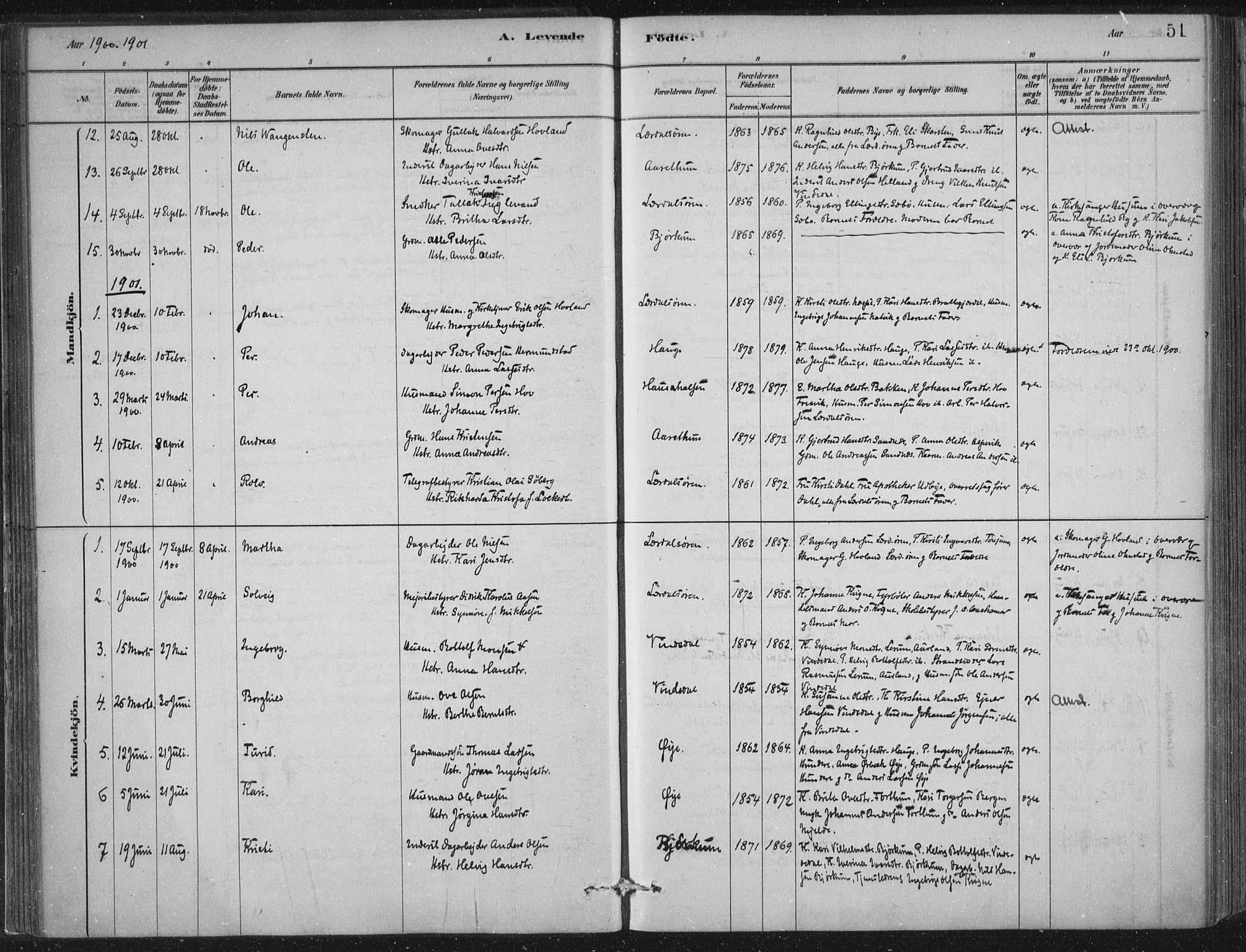 Lærdal sokneprestembete, SAB/A-81201: Parish register (official) no. D  1, 1878-1908, p. 51