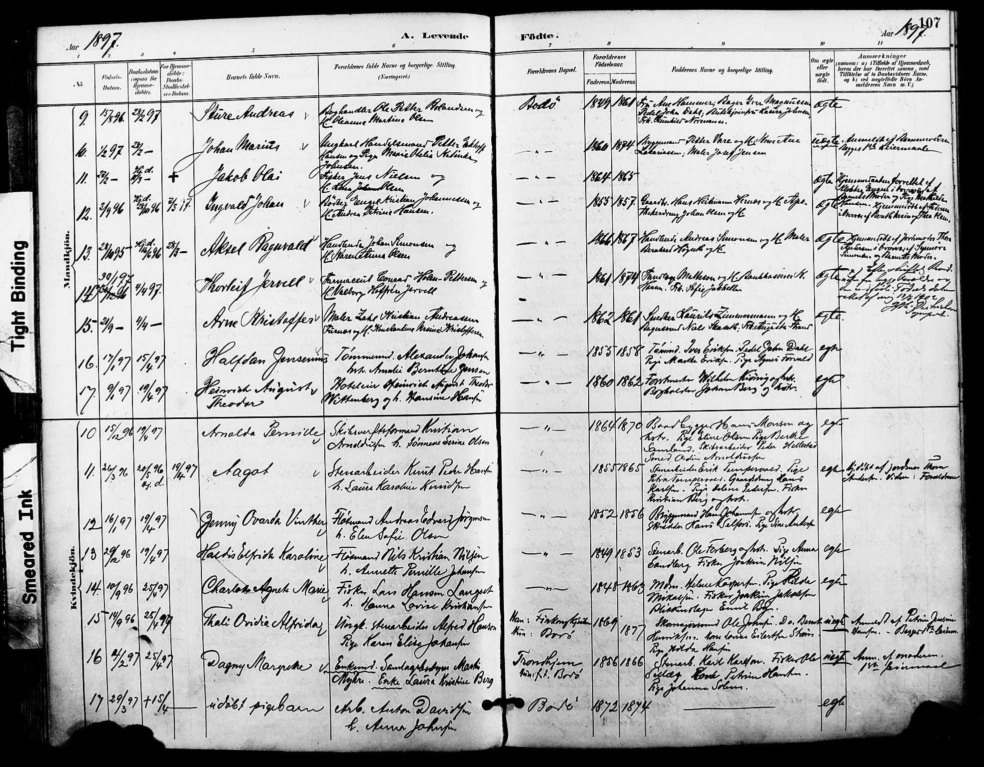 Ministerialprotokoller, klokkerbøker og fødselsregistre - Nordland, SAT/A-1459/801/L0010: Parish register (official) no. 801A10, 1888-1899, p. 107