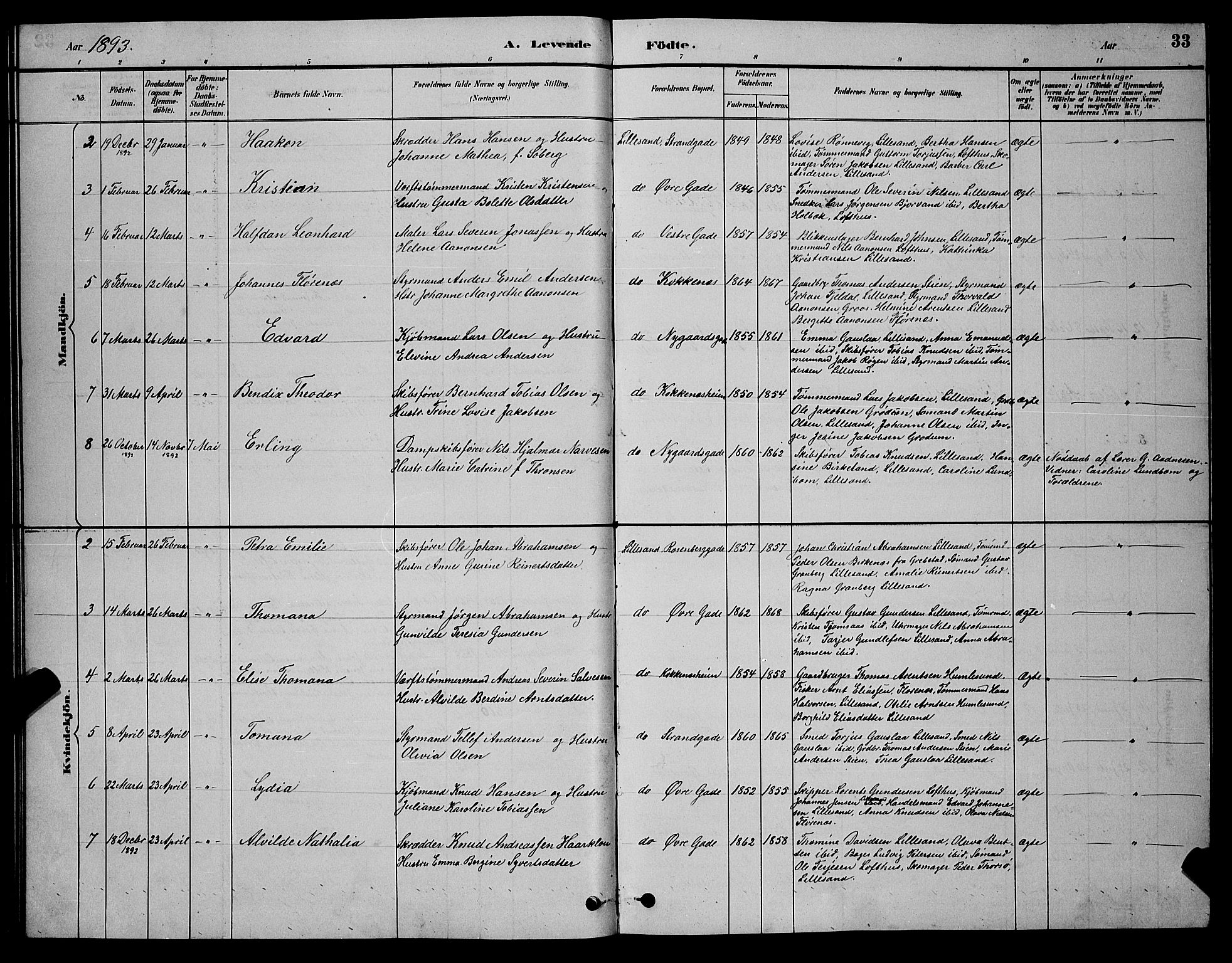 Vestre Moland sokneprestkontor, AV/SAK-1111-0046/F/Fb/Fba/L0001: Parish register (copy) no. B 1, 1884-1903, p. 33