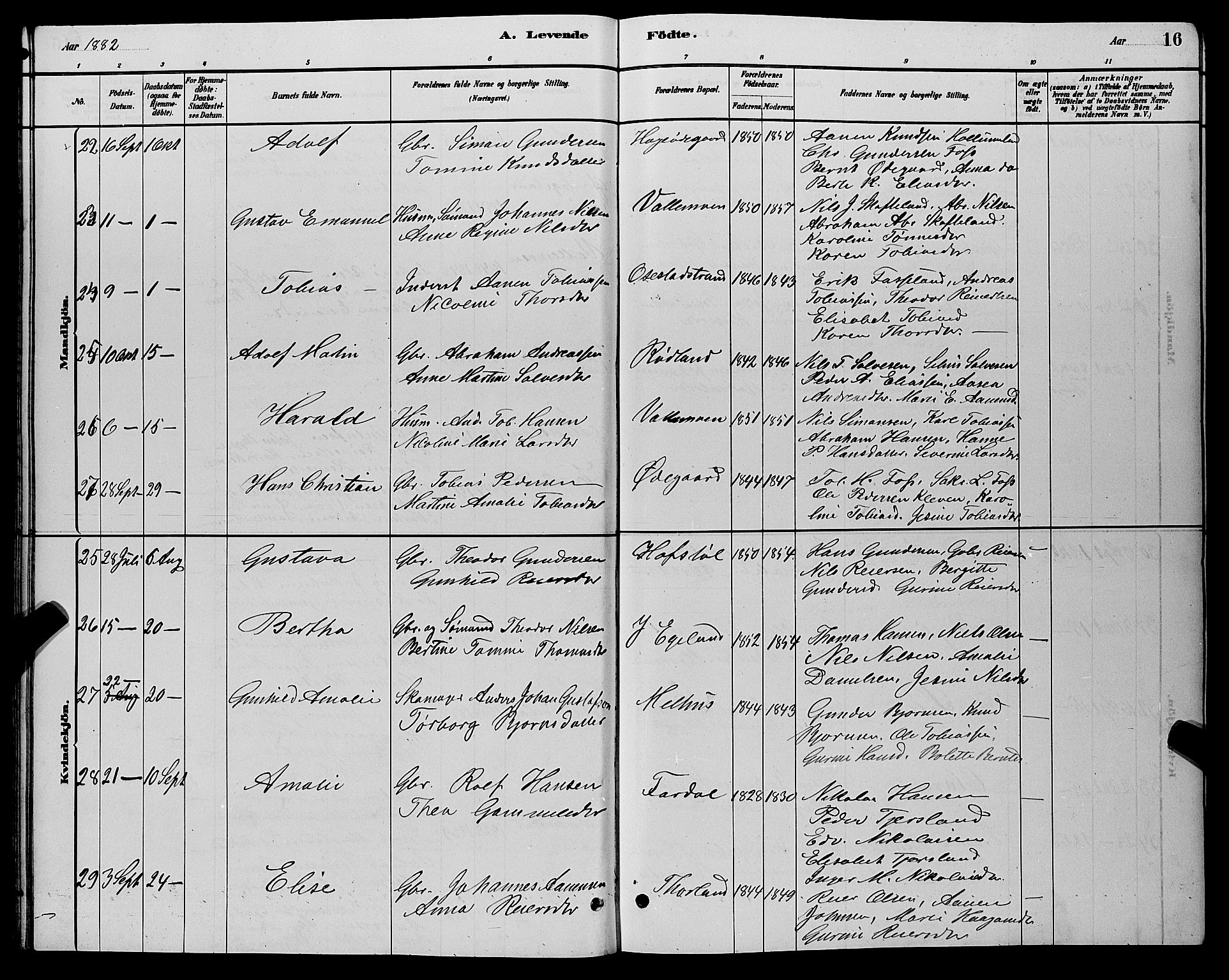 Sør-Audnedal sokneprestkontor, AV/SAK-1111-0039/F/Fb/Fbb/L0005: Parish register (copy) no. B 5, 1880-1892, p. 16