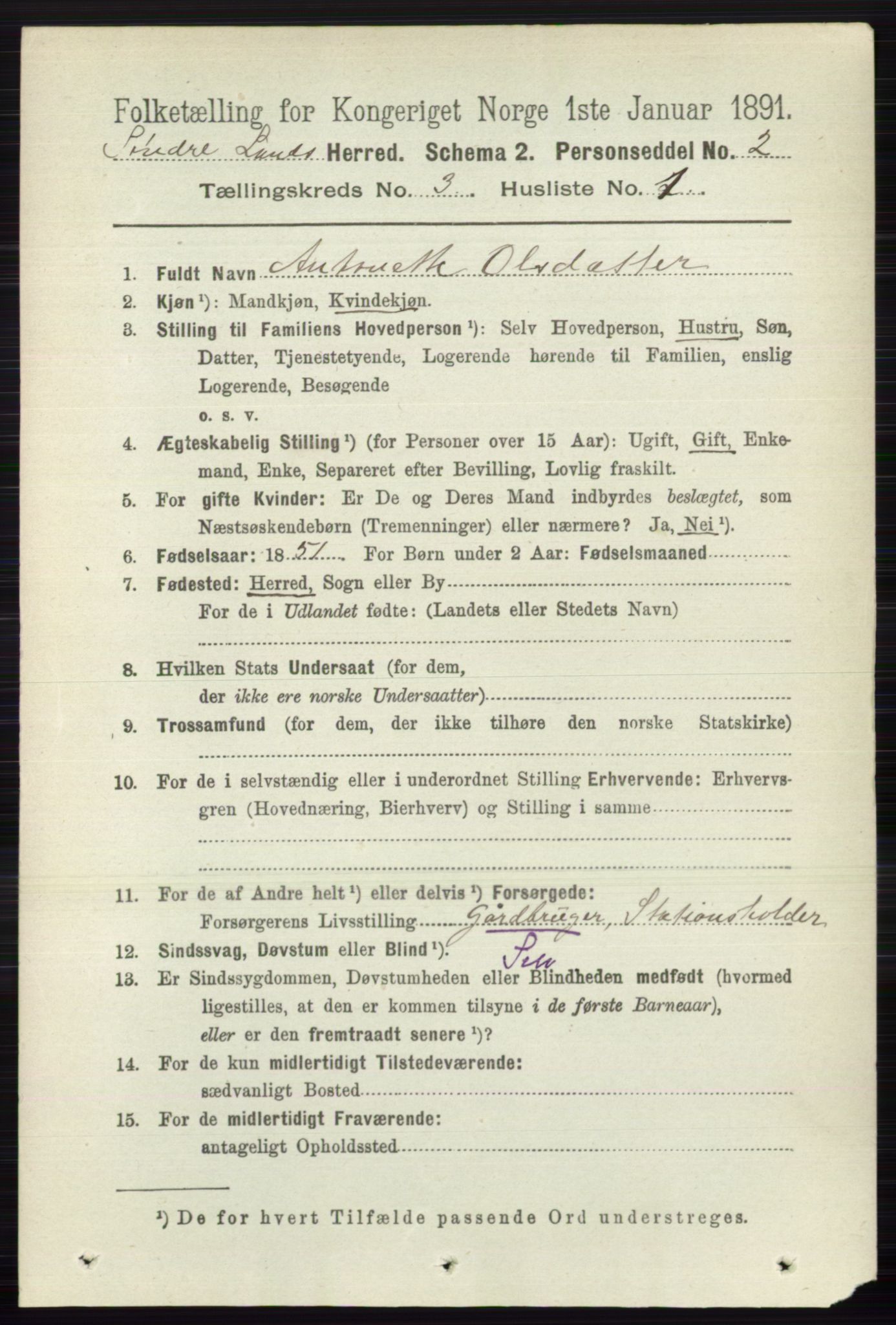 RA, 1891 census for 0536 Søndre Land, 1891, p. 2500