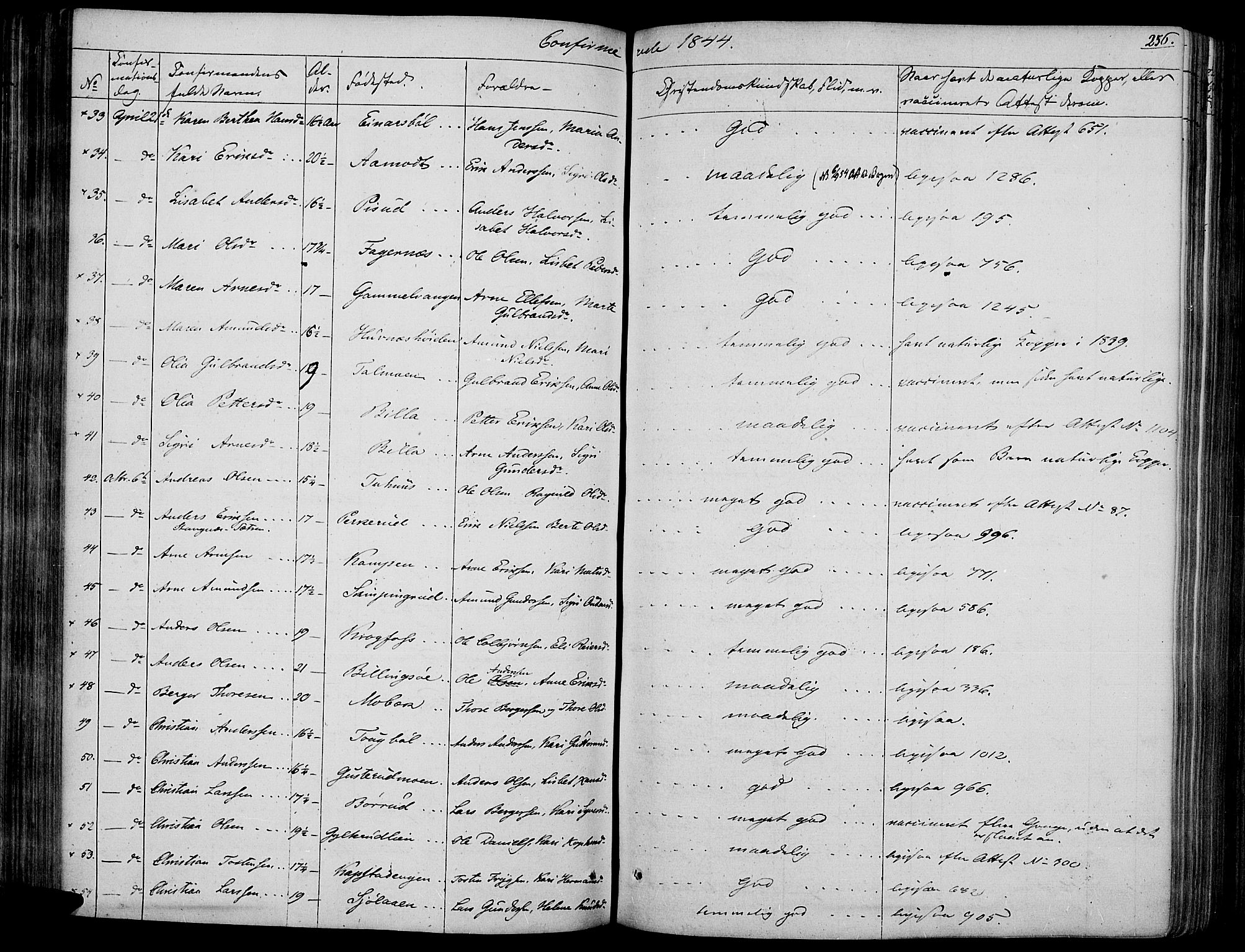 Vinger prestekontor, AV/SAH-PREST-024/H/Ha/Haa/L0008: Parish register (official) no. 8, 1839-1847, p. 256