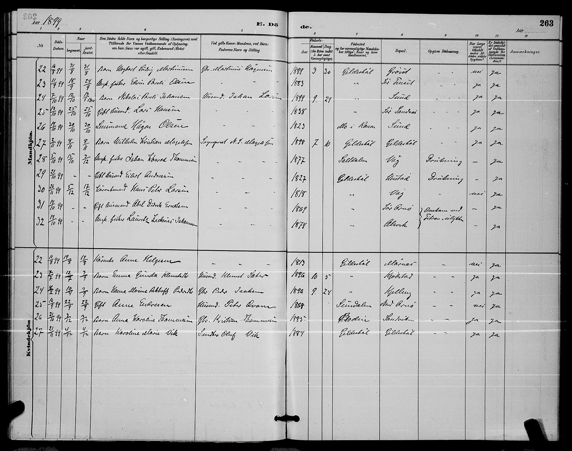 Ministerialprotokoller, klokkerbøker og fødselsregistre - Nordland, AV/SAT-A-1459/805/L0108: Parish register (copy) no. 805C04, 1885-1899, p. 263