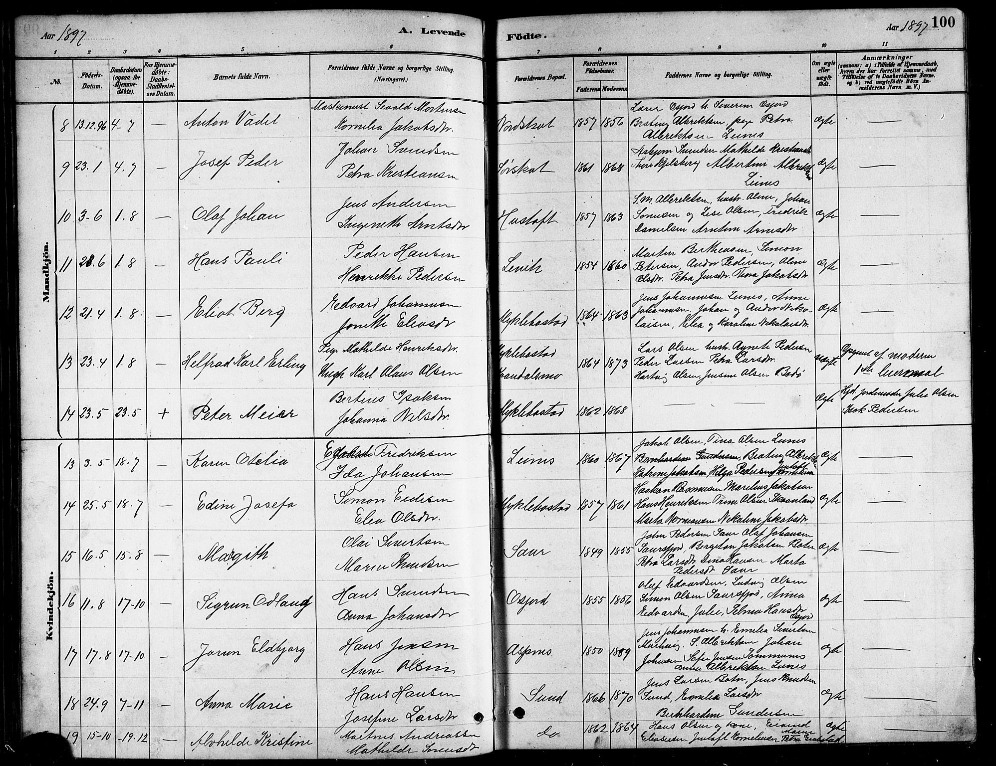 Ministerialprotokoller, klokkerbøker og fødselsregistre - Nordland, AV/SAT-A-1459/857/L0828: Parish register (copy) no. 857C03, 1879-1908, p. 100