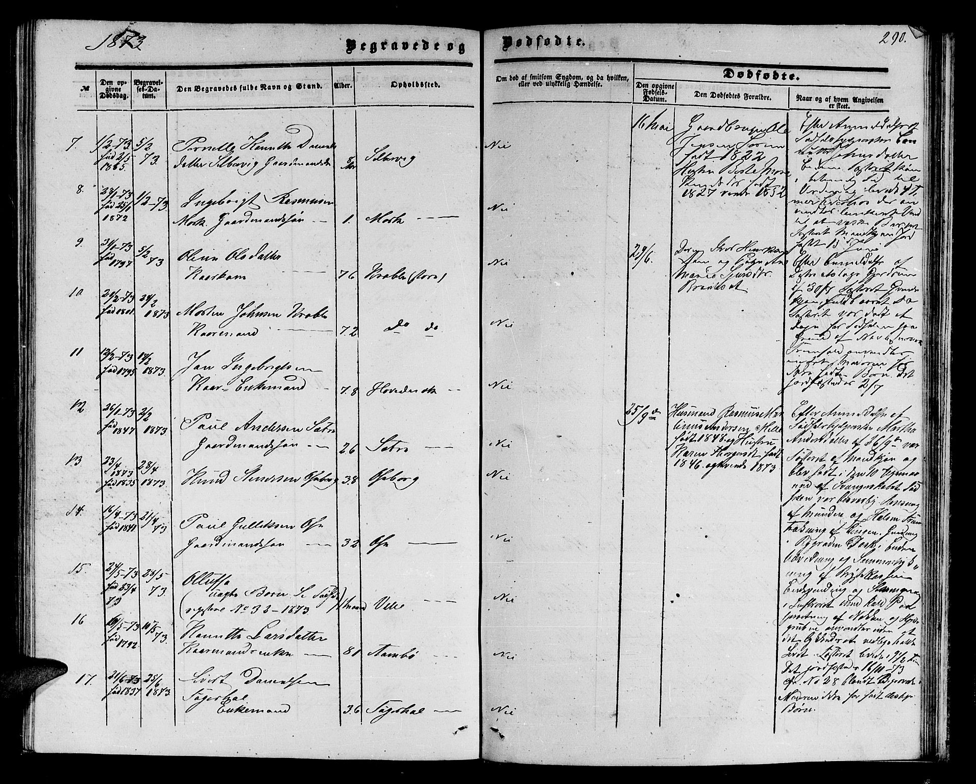 Ministerialprotokoller, klokkerbøker og fødselsregistre - Møre og Romsdal, AV/SAT-A-1454/513/L0188: Parish register (copy) no. 513C02, 1865-1882, p. 290