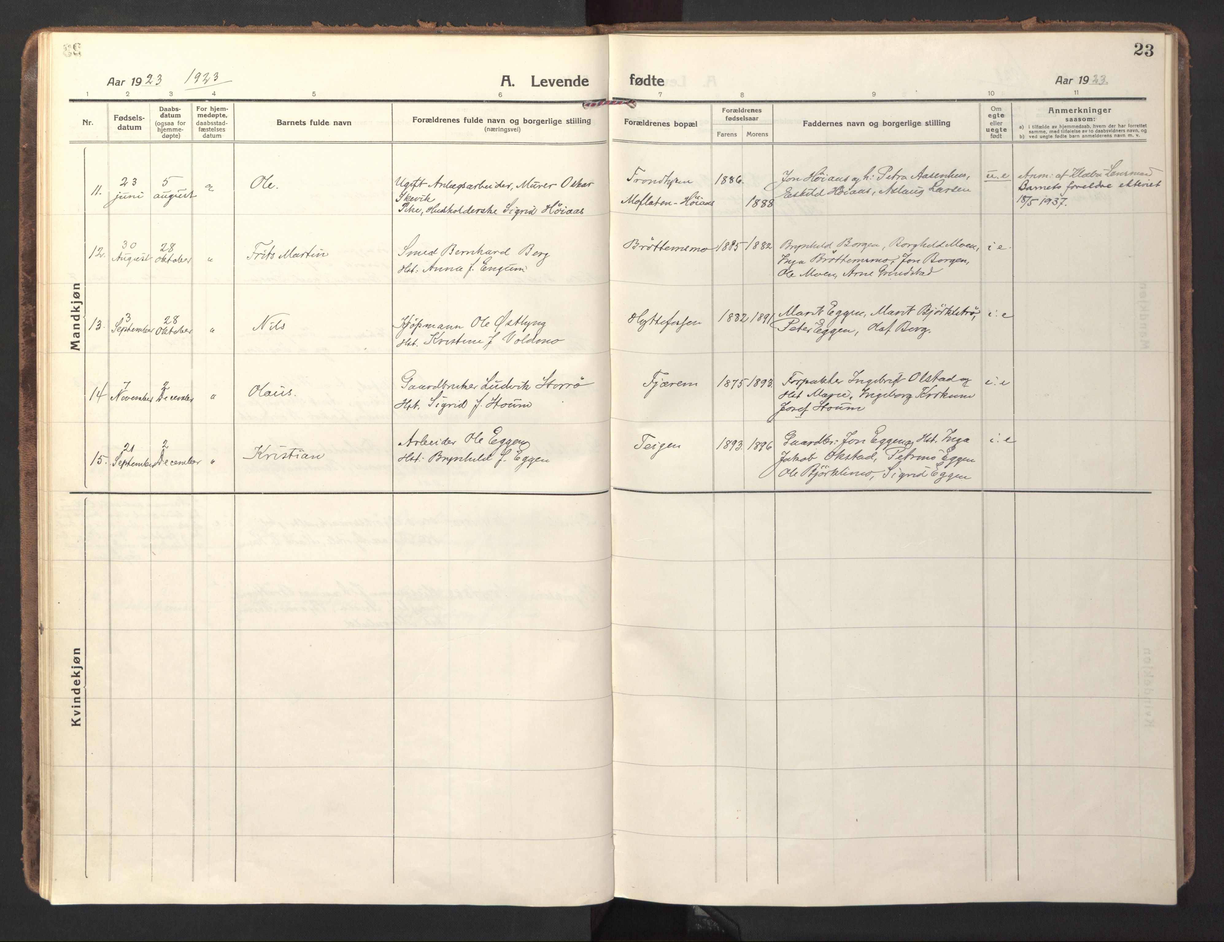 Ministerialprotokoller, klokkerbøker og fødselsregistre - Sør-Trøndelag, AV/SAT-A-1456/618/L0449: Parish register (official) no. 618A12, 1917-1924, p. 23