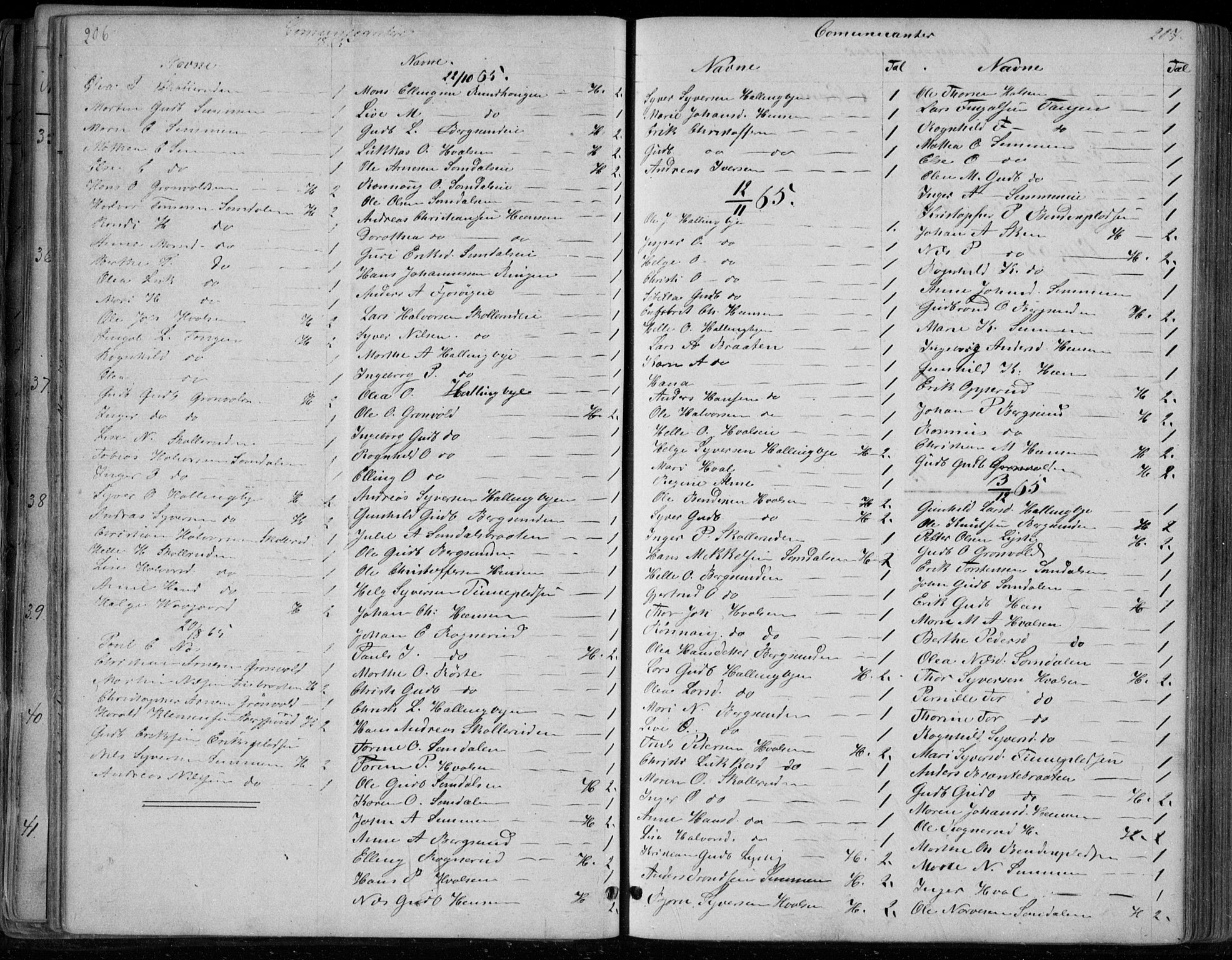 Ådal kirkebøker, SAKO/A-248/G/Gc/L0001: Parish register (copy) no. III 1, 1862-1898, p. 206-207