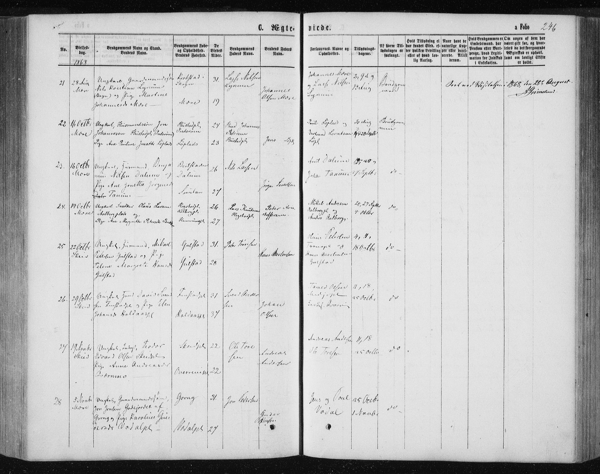 Ministerialprotokoller, klokkerbøker og fødselsregistre - Nord-Trøndelag, AV/SAT-A-1458/735/L0345: Parish register (official) no. 735A08 /1, 1863-1872, p. 246