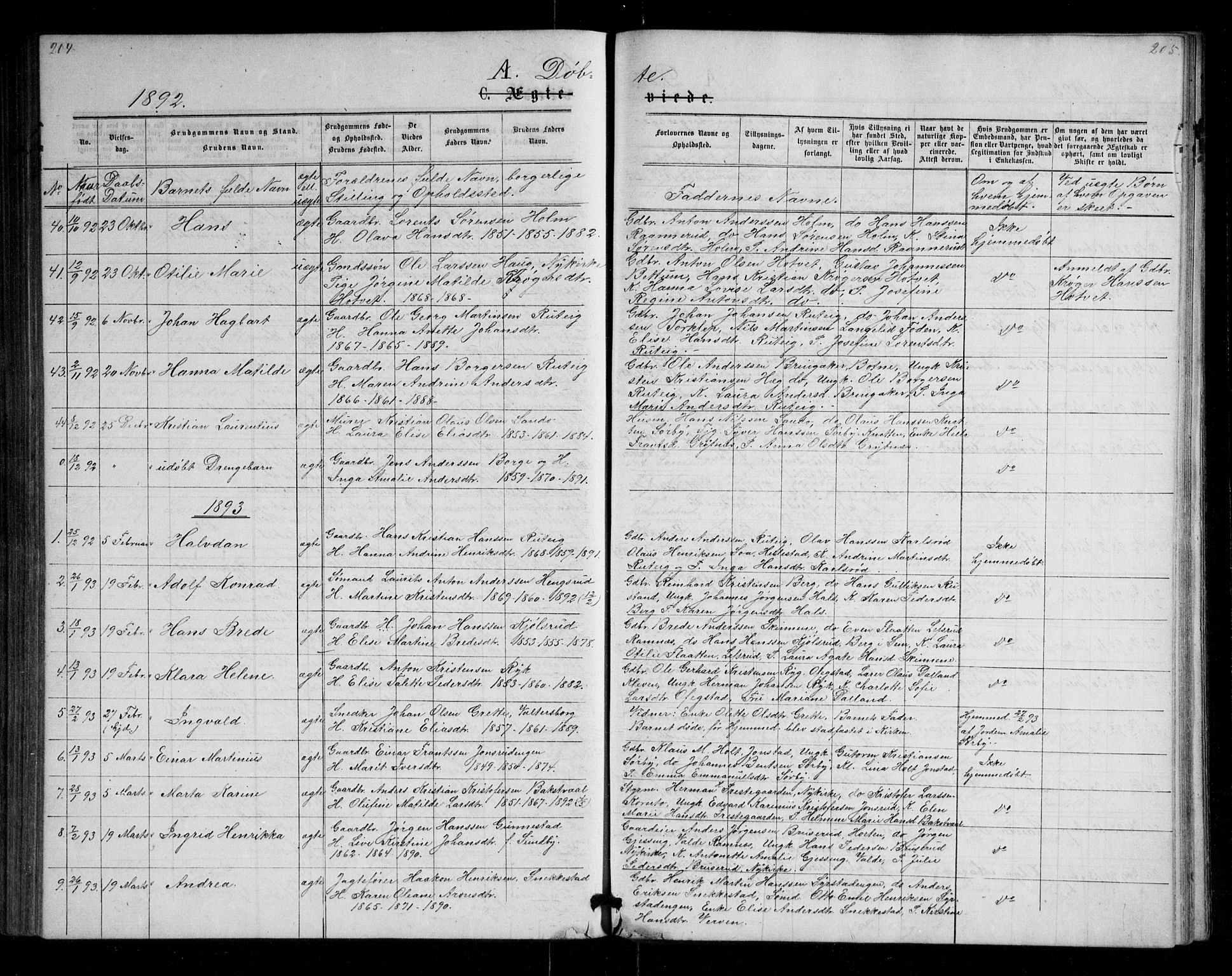 Våle kirkebøker, AV/SAKO-A-334/G/Ga/L0004a: Parish register (copy) no. I 4, 1874-1893, p. 204-205