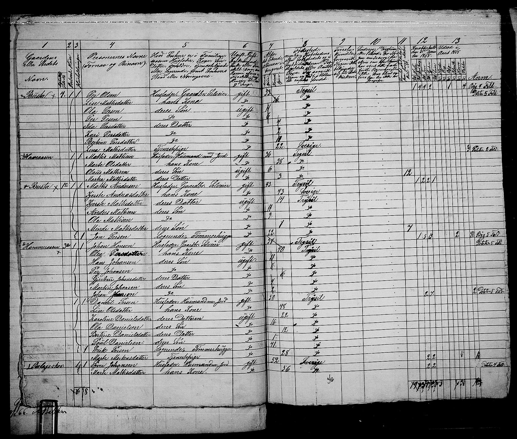 RA, 1865 census for Trysil, 1865, p. 110