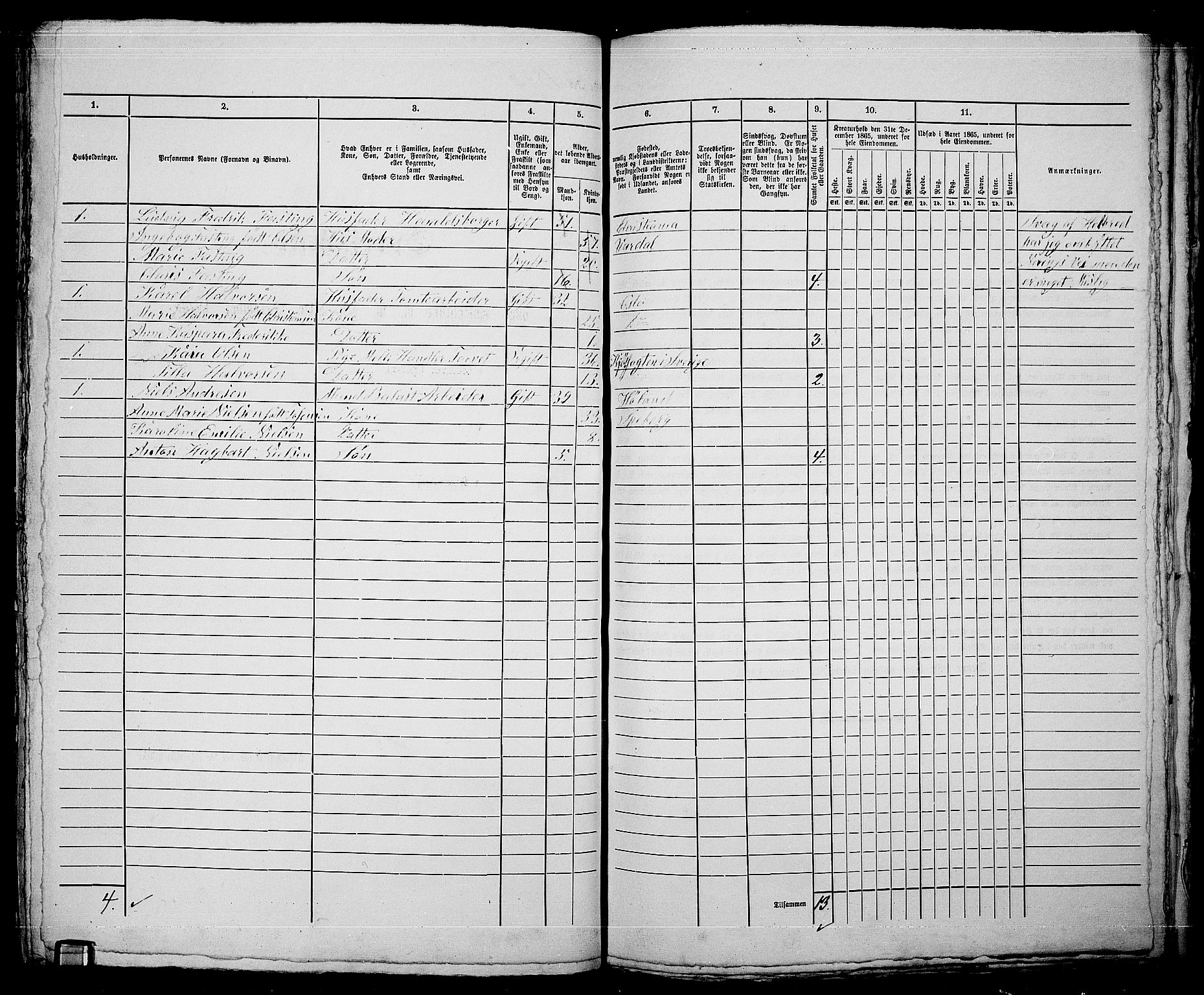 RA, 1865 census for Kristiania, 1865, p. 4245