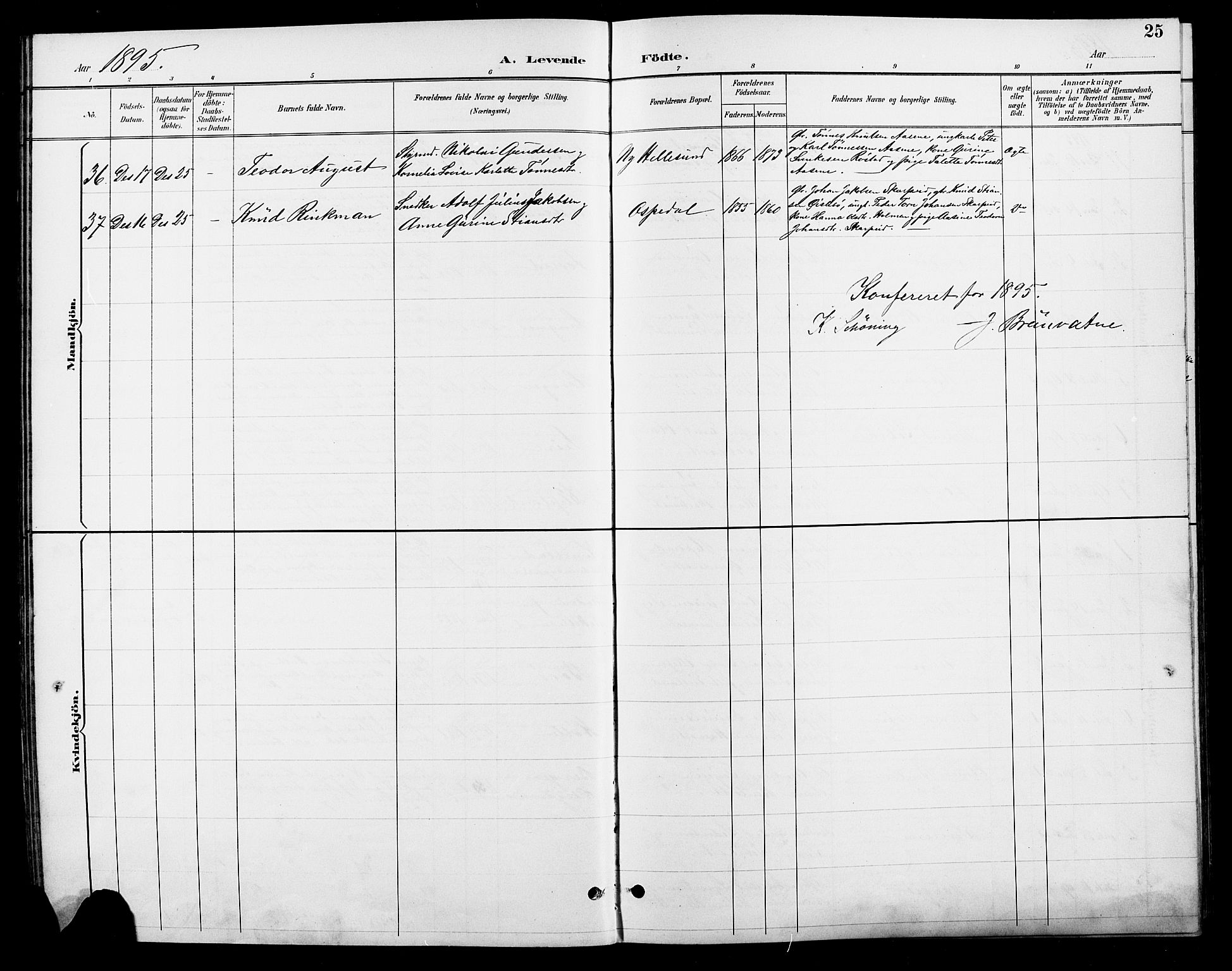 Søgne sokneprestkontor, AV/SAK-1111-0037/F/Fb/Fbb/L0006: Parish register (copy) no. B 6, 1892-1911, p. 25