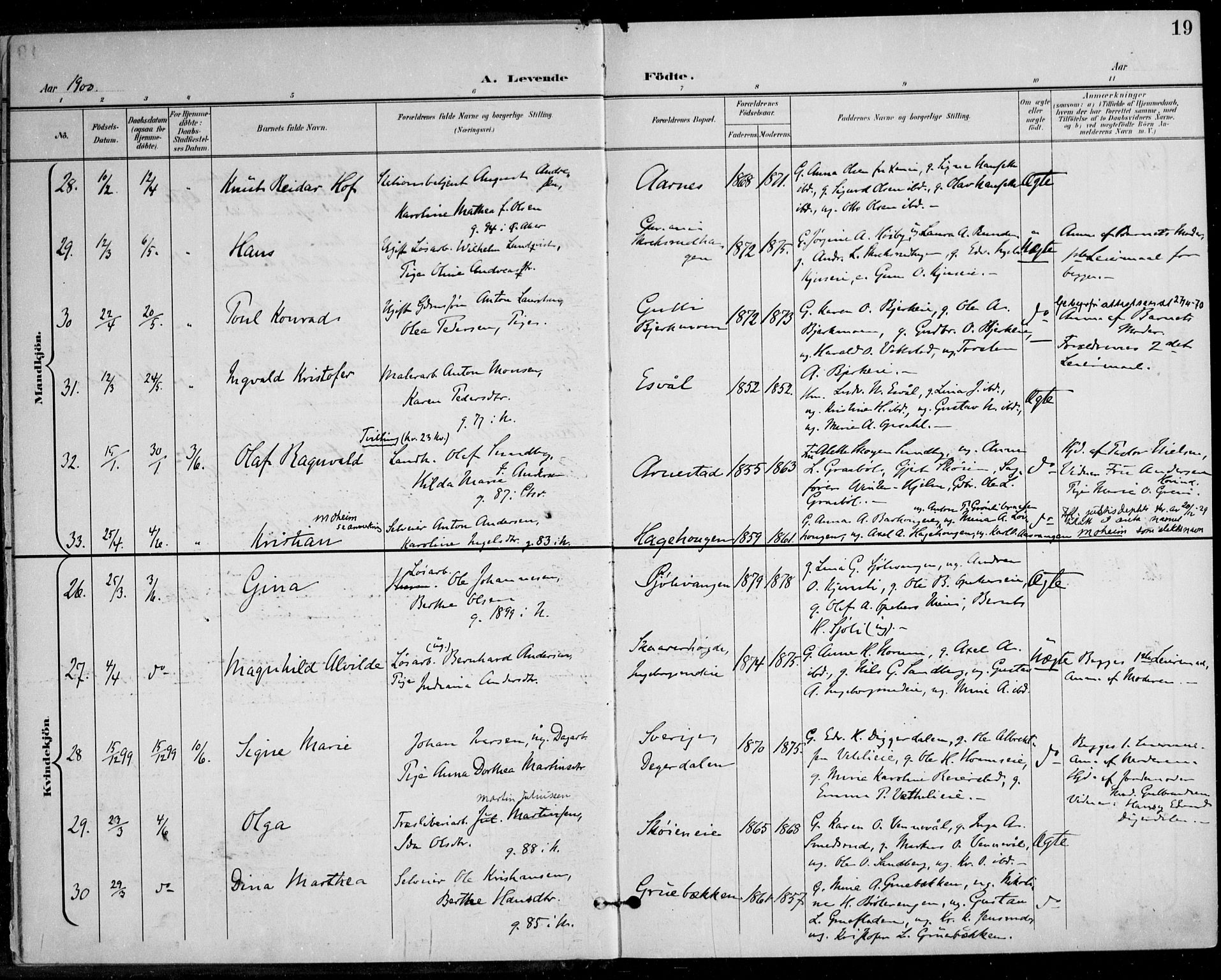 Nes prestekontor Kirkebøker, AV/SAO-A-10410/F/Fa/L0011: Parish register (official) no. I 11, 1899-1918, p. 19