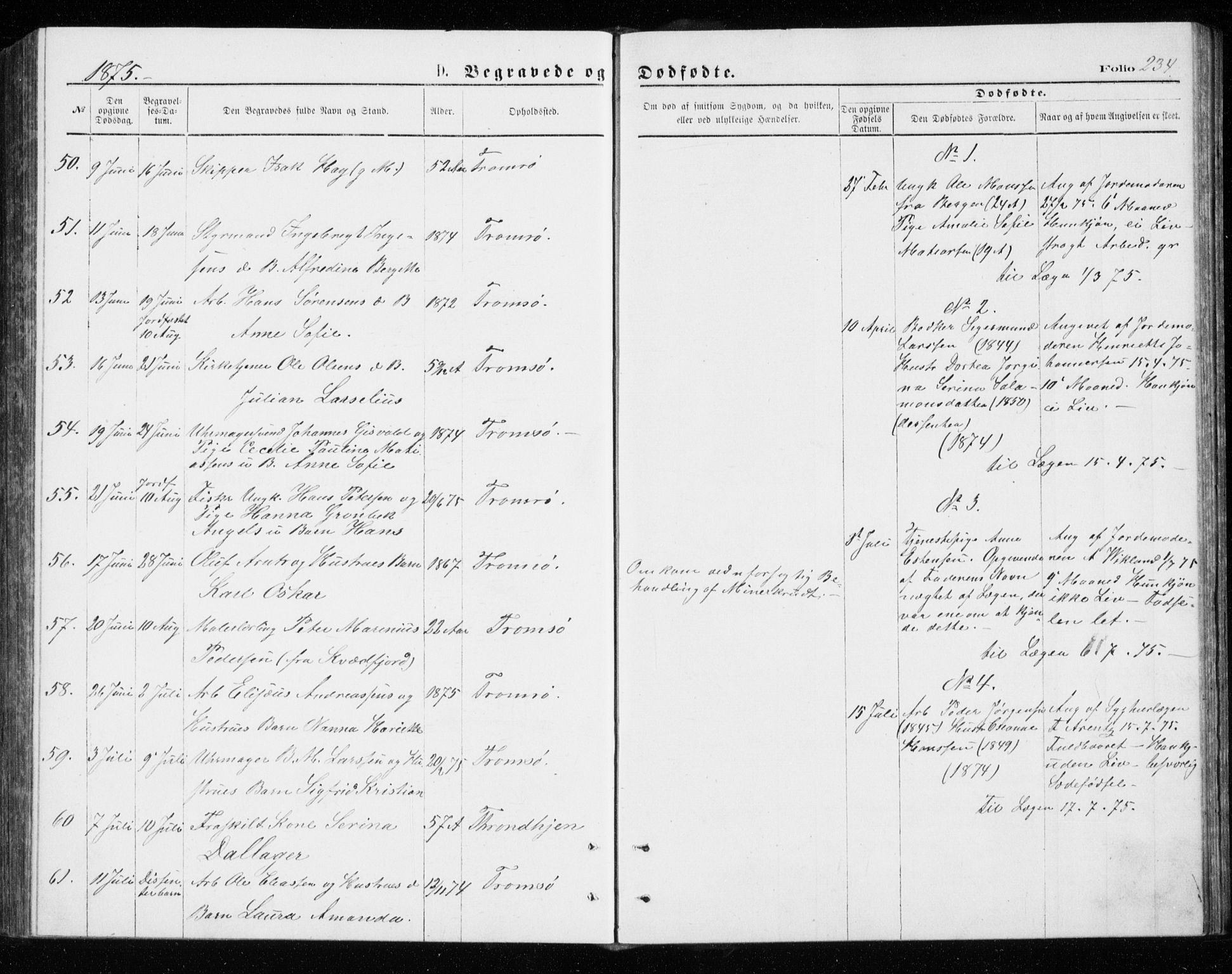 Tromsø sokneprestkontor/stiftsprosti/domprosti, AV/SATØ-S-1343/G/Gb/L0008klokker: Parish register (copy) no. 8, 1875-1879, p. 234