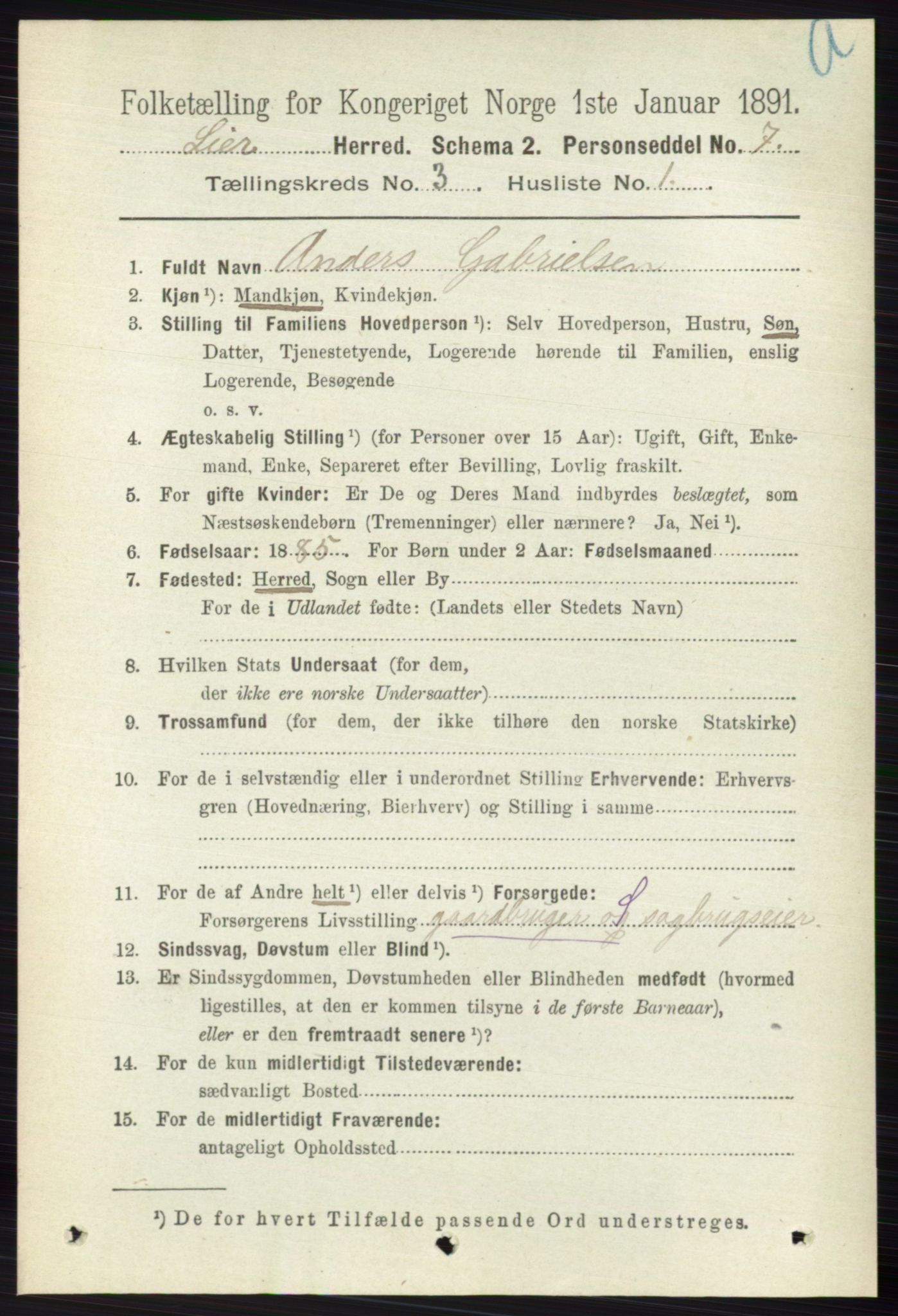 RA, 1891 census for 0626 Lier, 1891, p. 2500