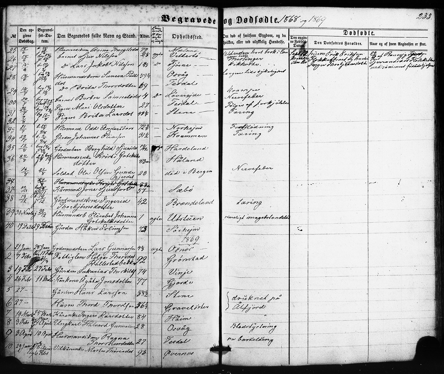 Etne sokneprestembete, SAB/A-75001/H/Haa: Parish register (official) no. A 9, 1862-1878, p. 233