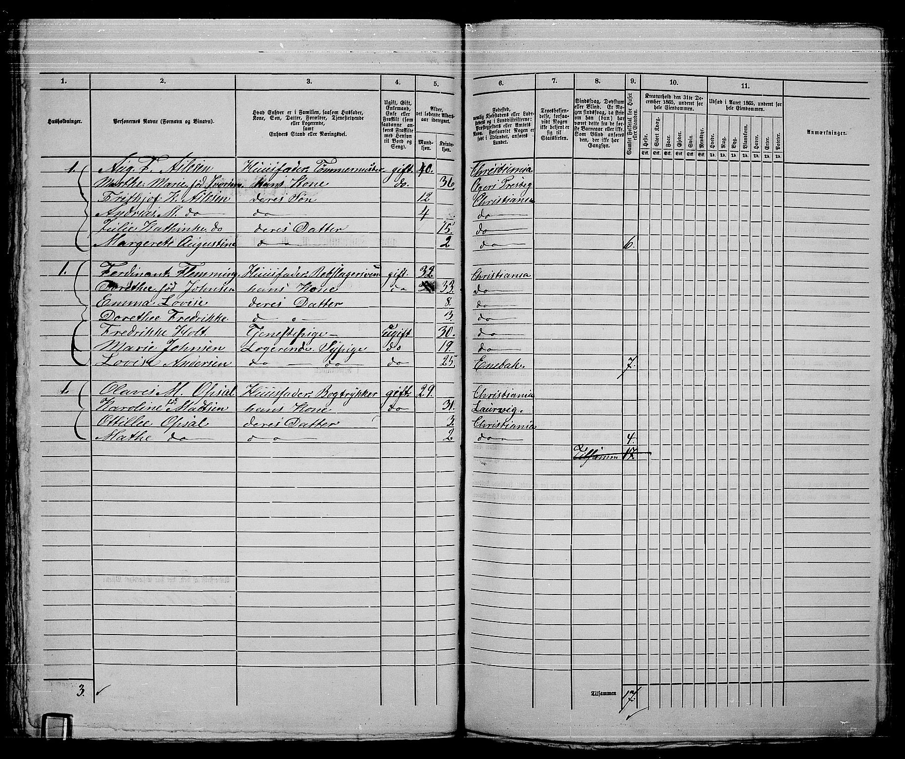 RA, 1865 census for Kristiania, 1865, p. 3799