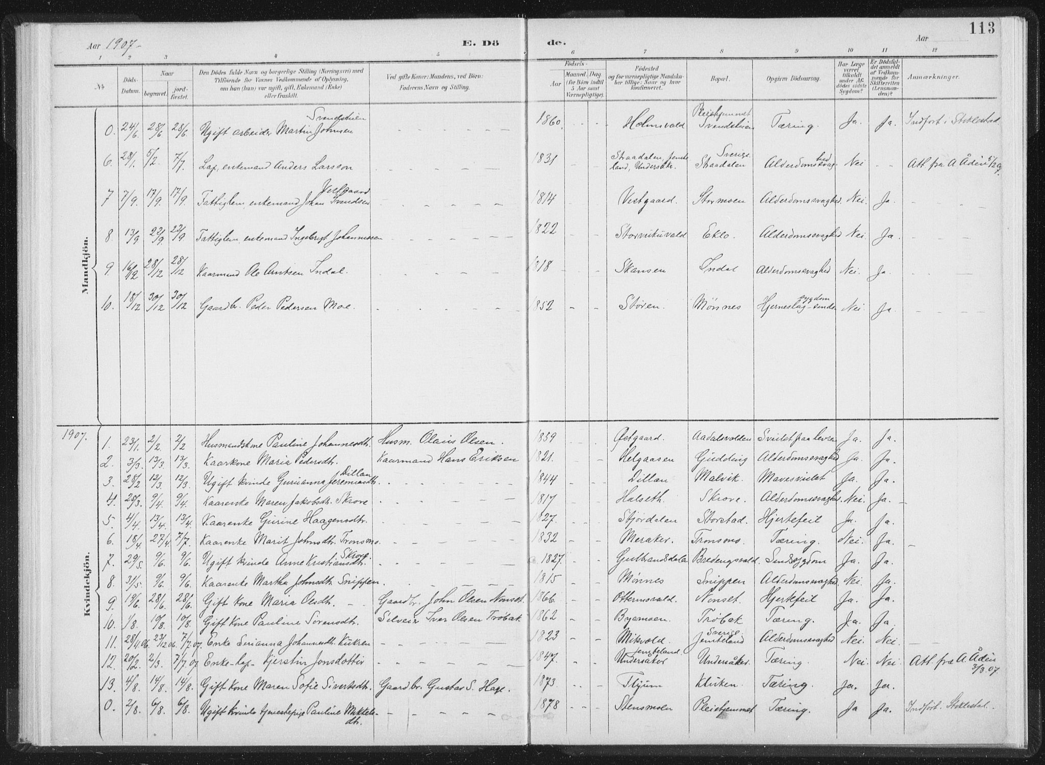 Ministerialprotokoller, klokkerbøker og fødselsregistre - Nord-Trøndelag, SAT/A-1458/724/L0263: Parish register (official) no. 724A01, 1891-1907, p. 113