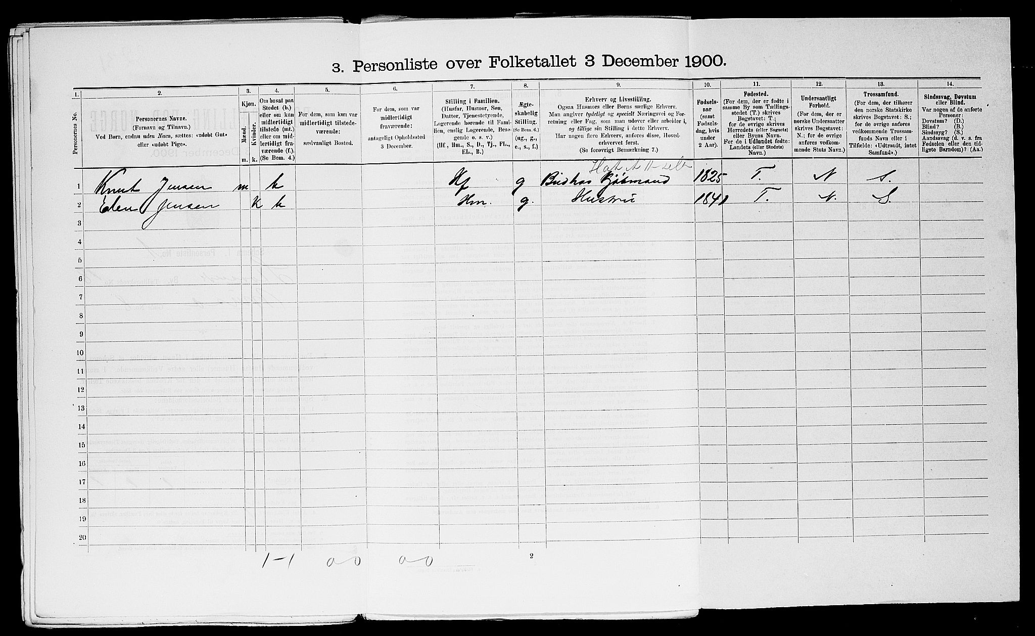SAST, 1900 census for Stavanger, 1900, p. 6821