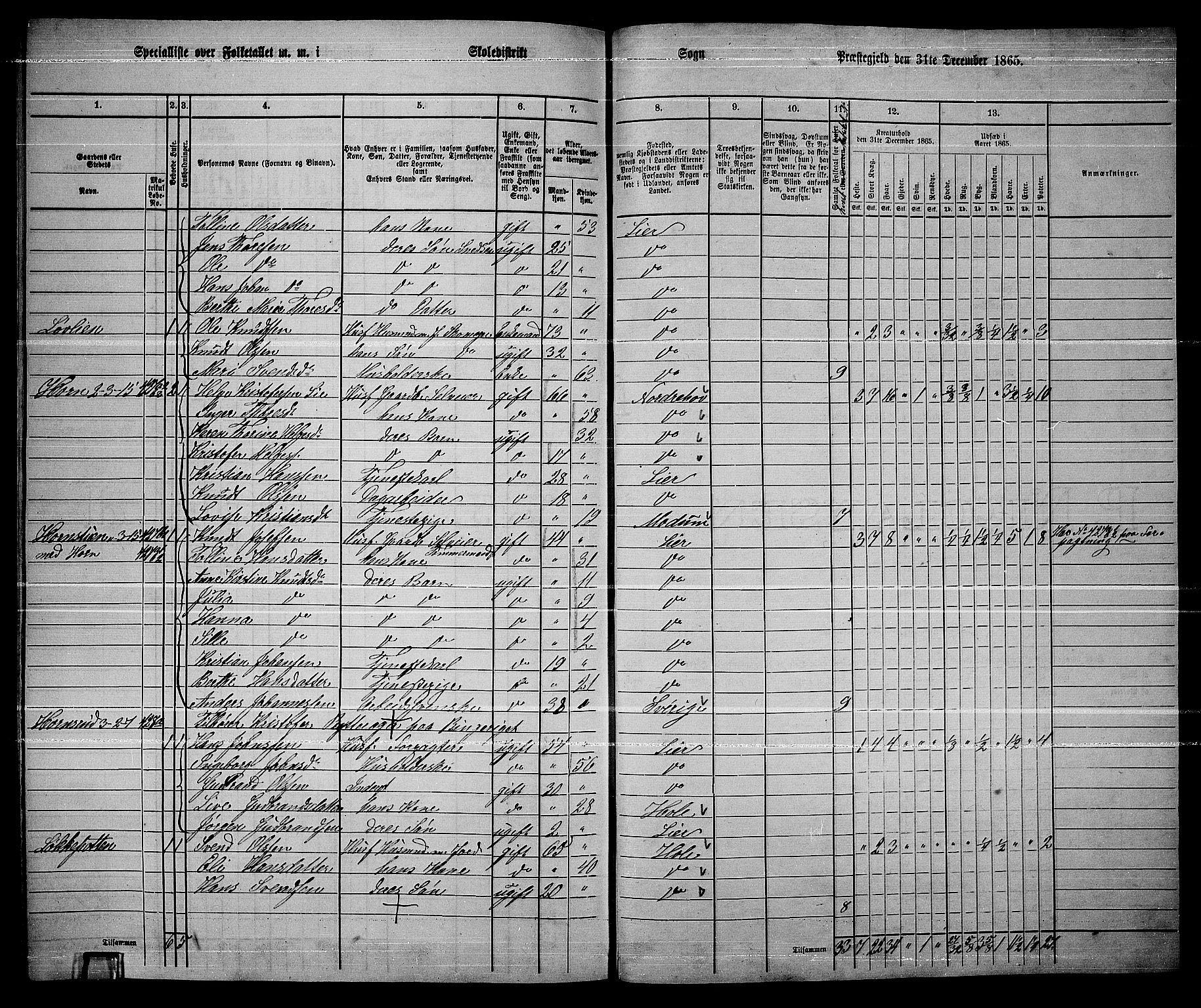 RA, 1865 census for Lier, 1865, p. 242