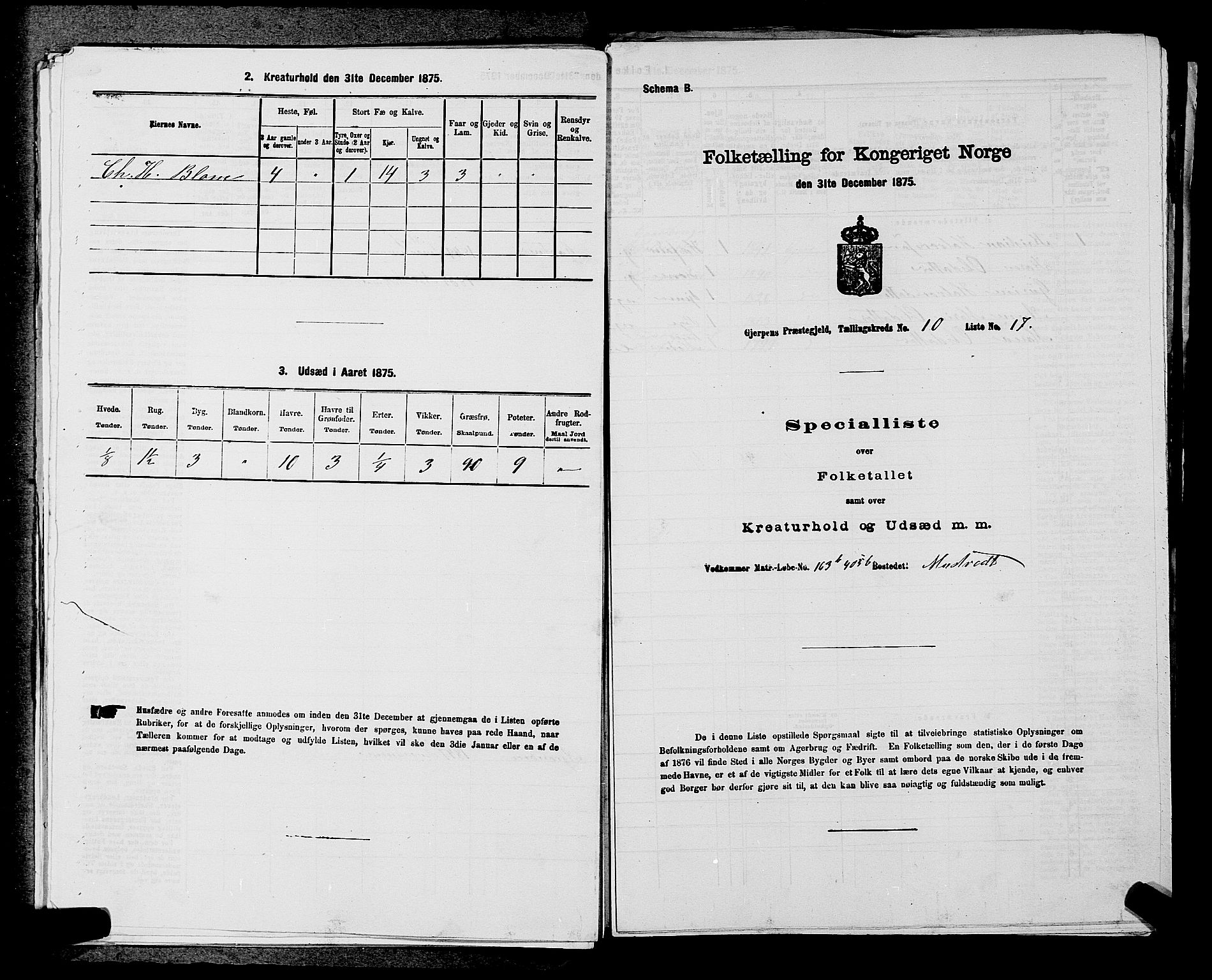 SAKO, 1875 census for 0812P Gjerpen, 1875, p. 1494