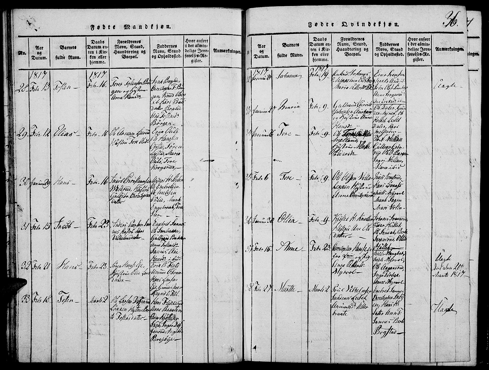 Strøm-Odalen prestekontor, AV/SAH-PREST-028/H/Ha/Hab/L0001: Parish register (copy) no. 1, 1813-1825, p. 36