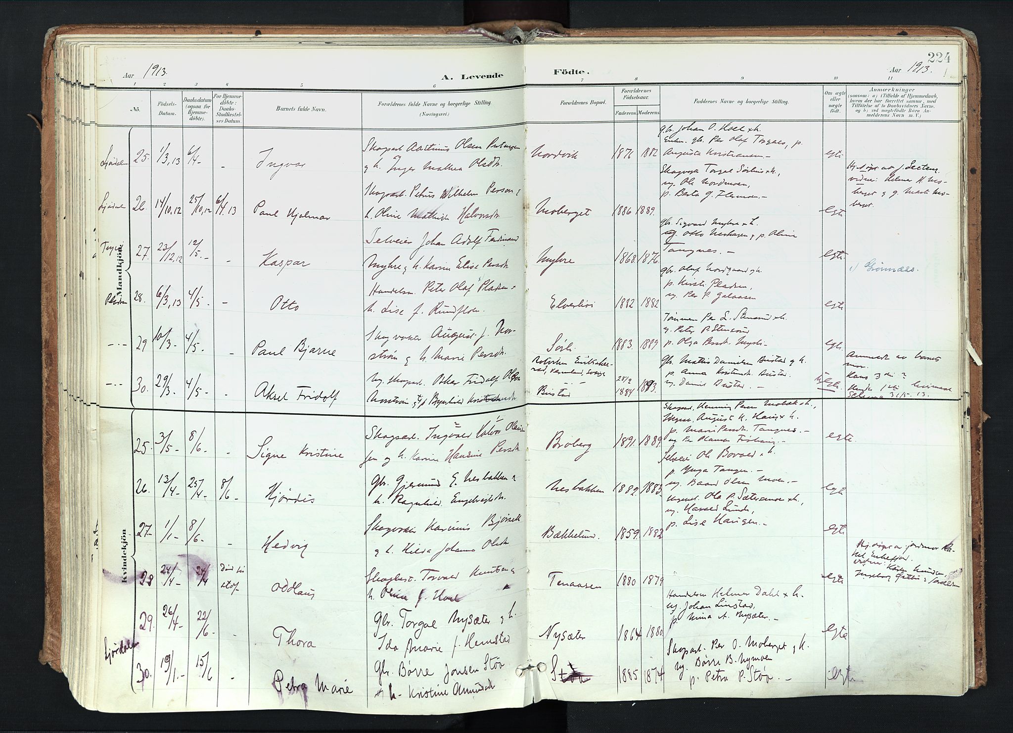 Trysil prestekontor, AV/SAH-PREST-046/H/Ha/Haa/L0012: Parish register (official) no. 12, 1898-1917, p. 224