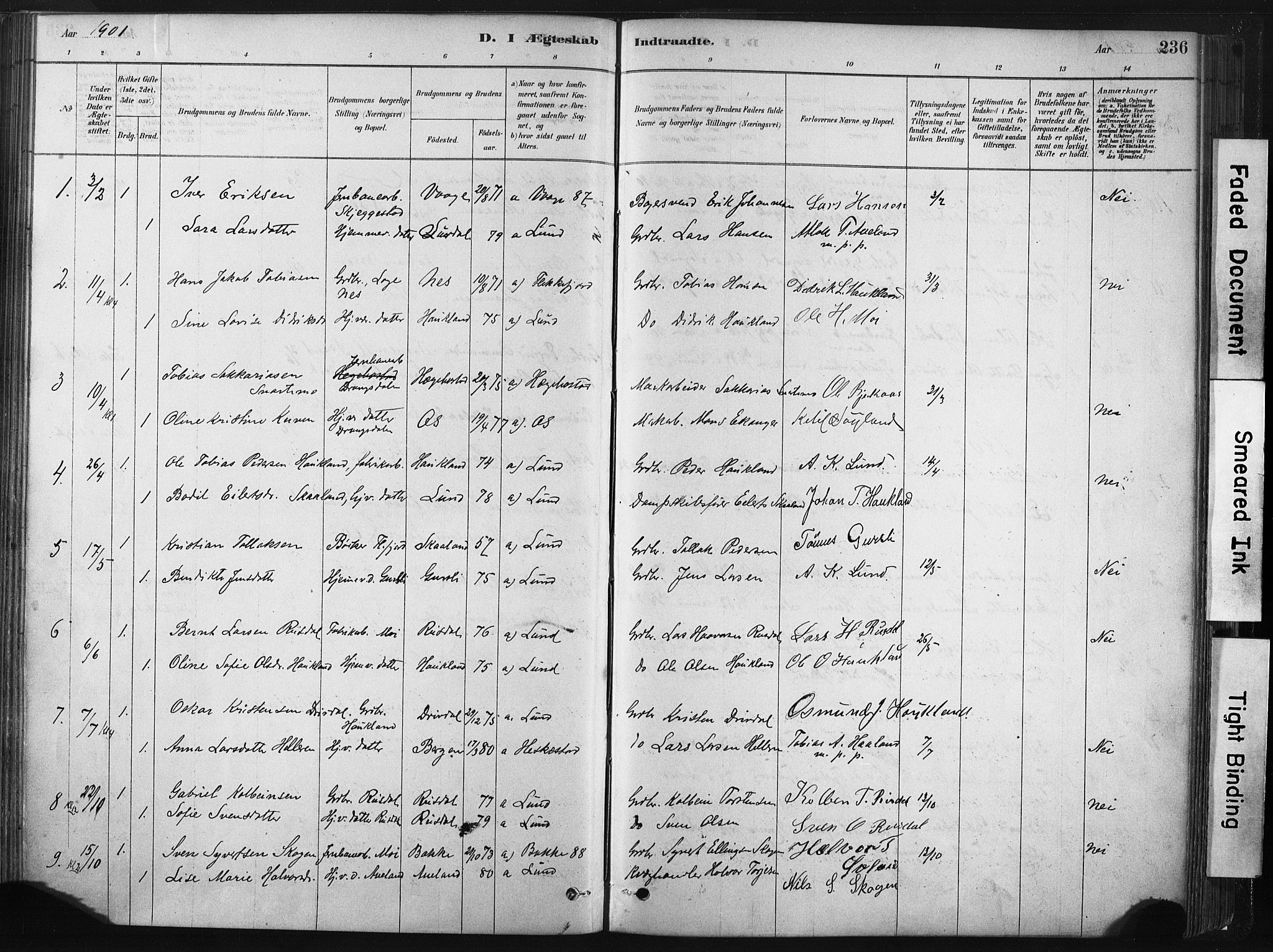 Lund sokneprestkontor, AV/SAST-A-101809/S06/L0011: Parish register (official) no. A 10, 1877-1904, p. 236