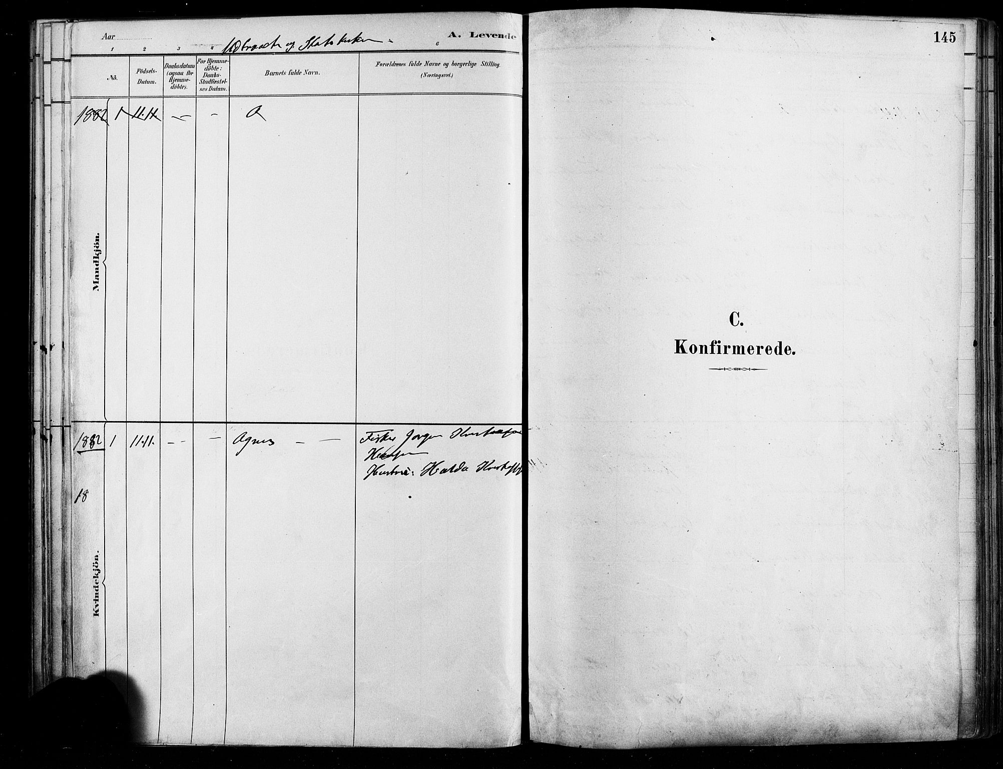 Østre Aker prestekontor Kirkebøker, AV/SAO-A-10840/F/Fa/L0006: Parish register (official) no. I 5, 1879-1882, p. 145