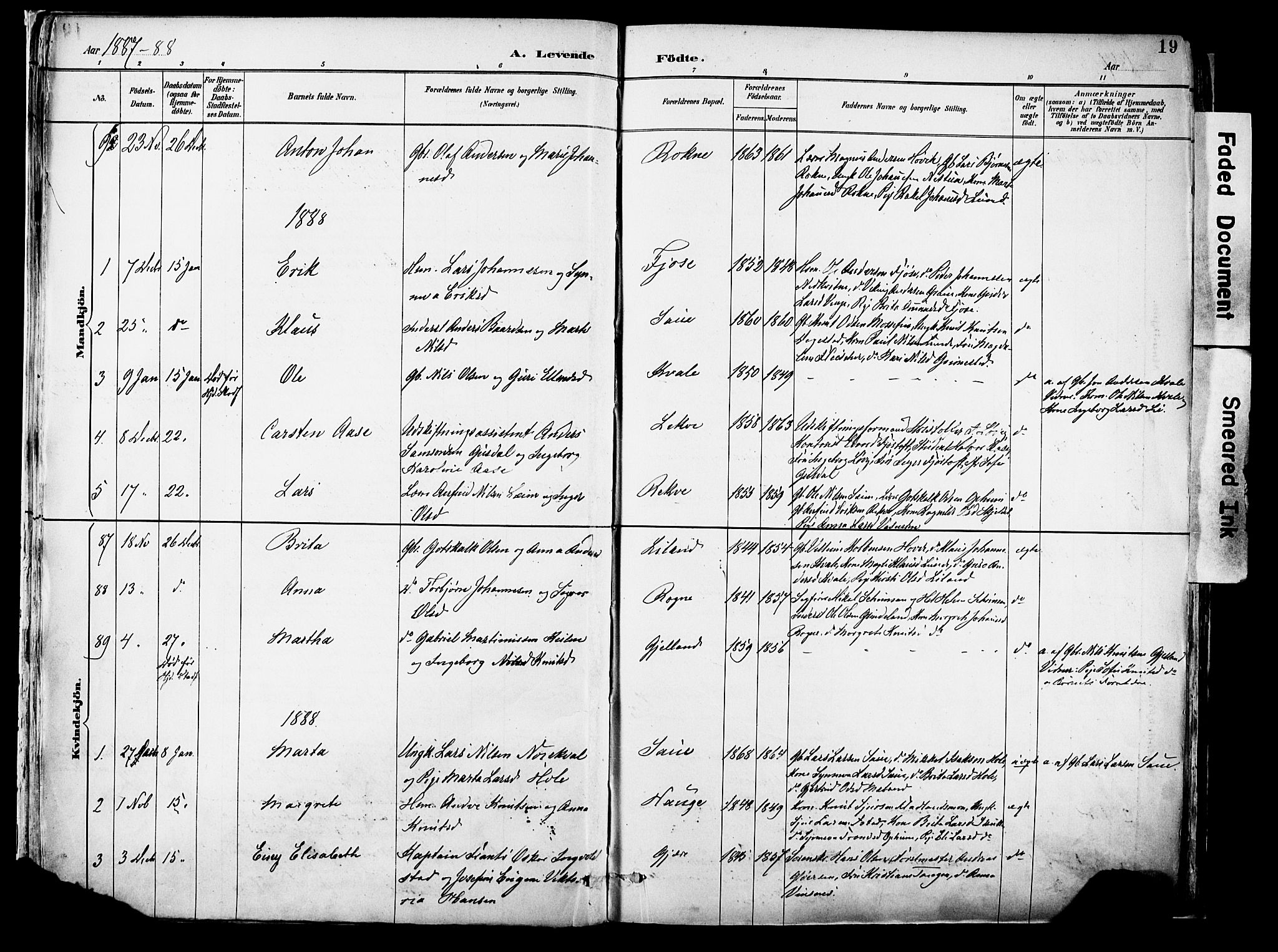 Voss sokneprestembete, SAB/A-79001/H/Haa: Parish register (official) no. A 21, 1887-1903, p. 19
