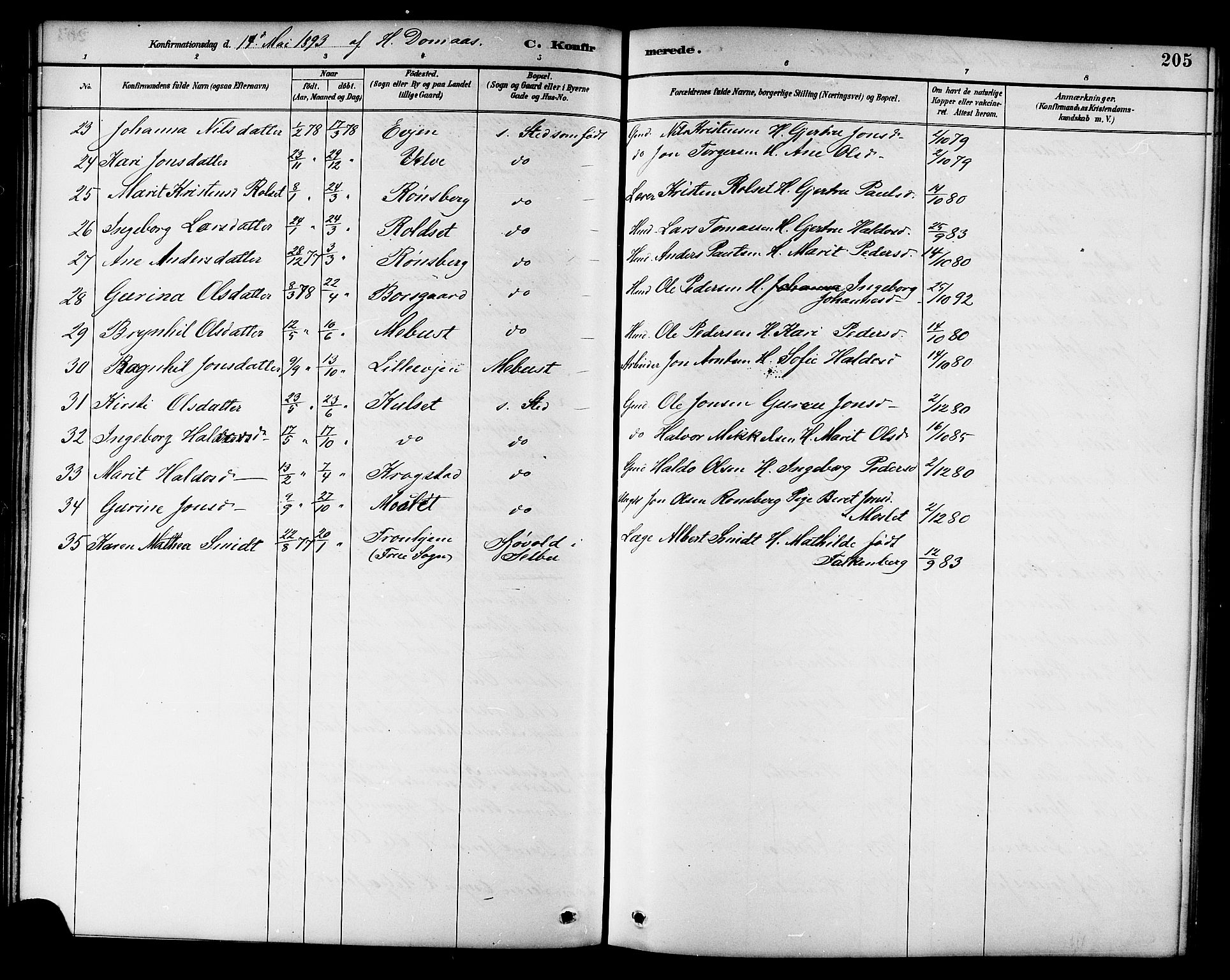 Ministerialprotokoller, klokkerbøker og fødselsregistre - Sør-Trøndelag, AV/SAT-A-1456/695/L1157: Parish register (copy) no. 695C08, 1889-1913, p. 205